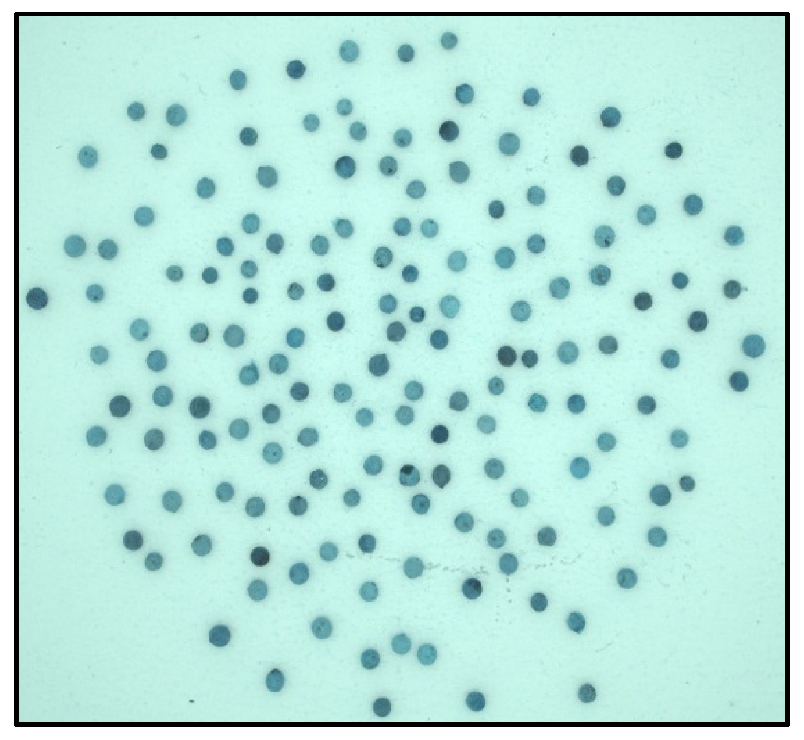 Jimaging 10 00041 g004