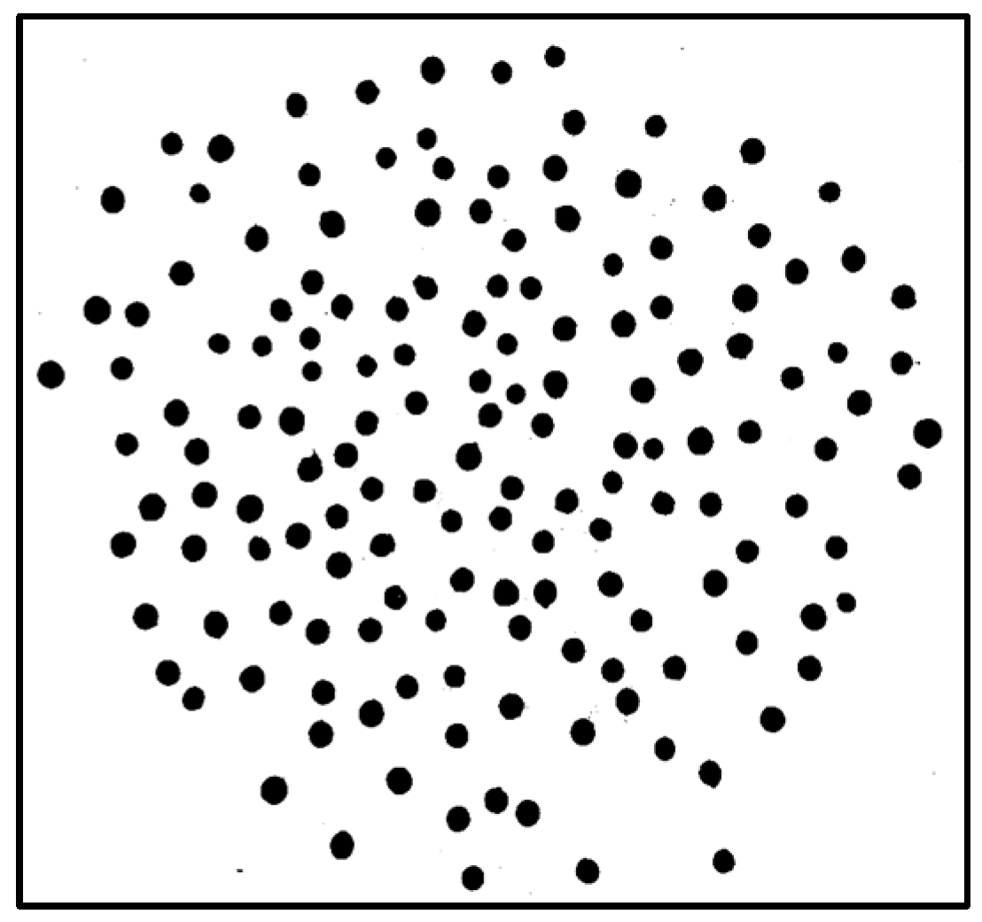 Jimaging 10 00041 g005