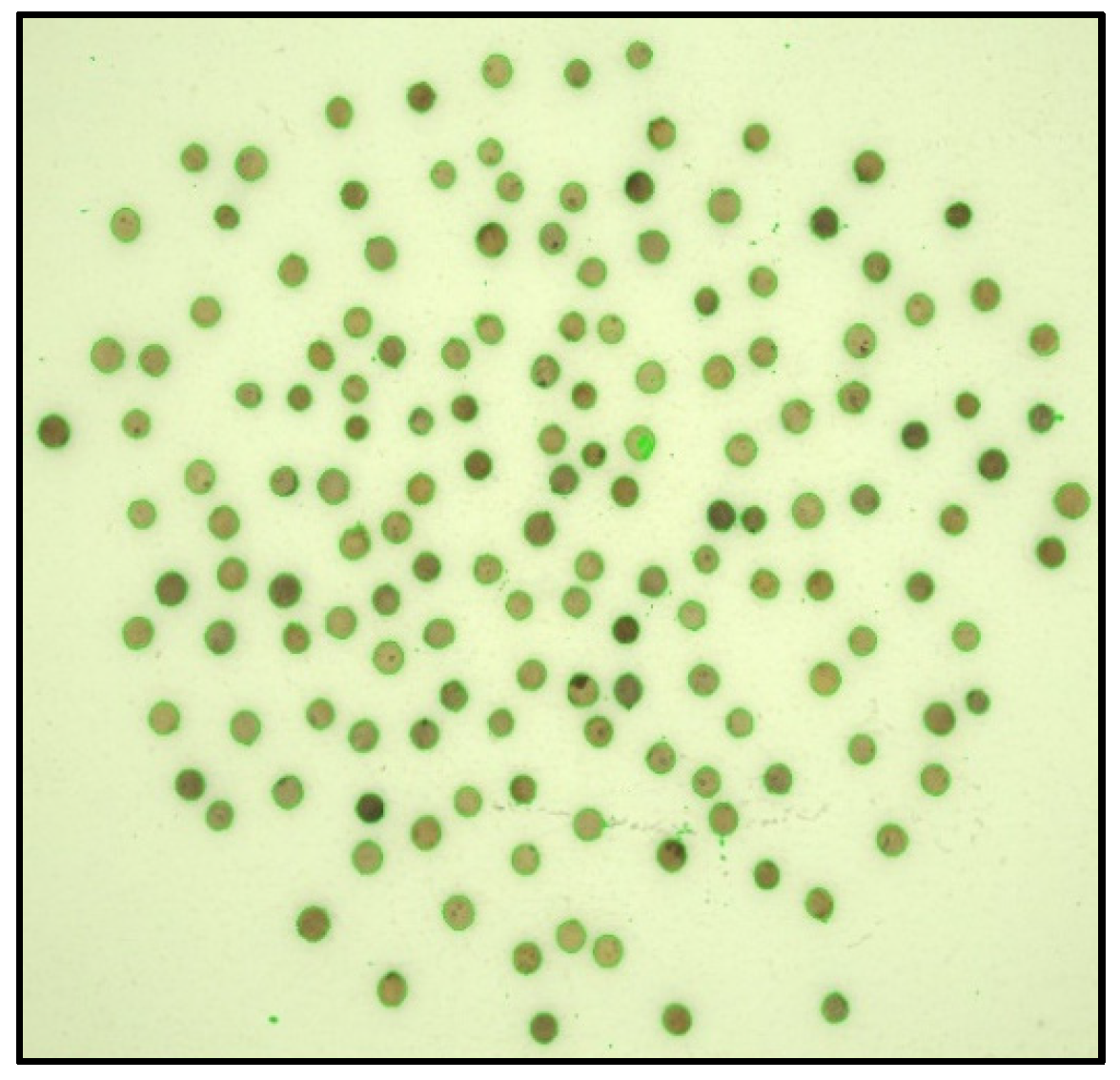 Jimaging 10 00041 g006