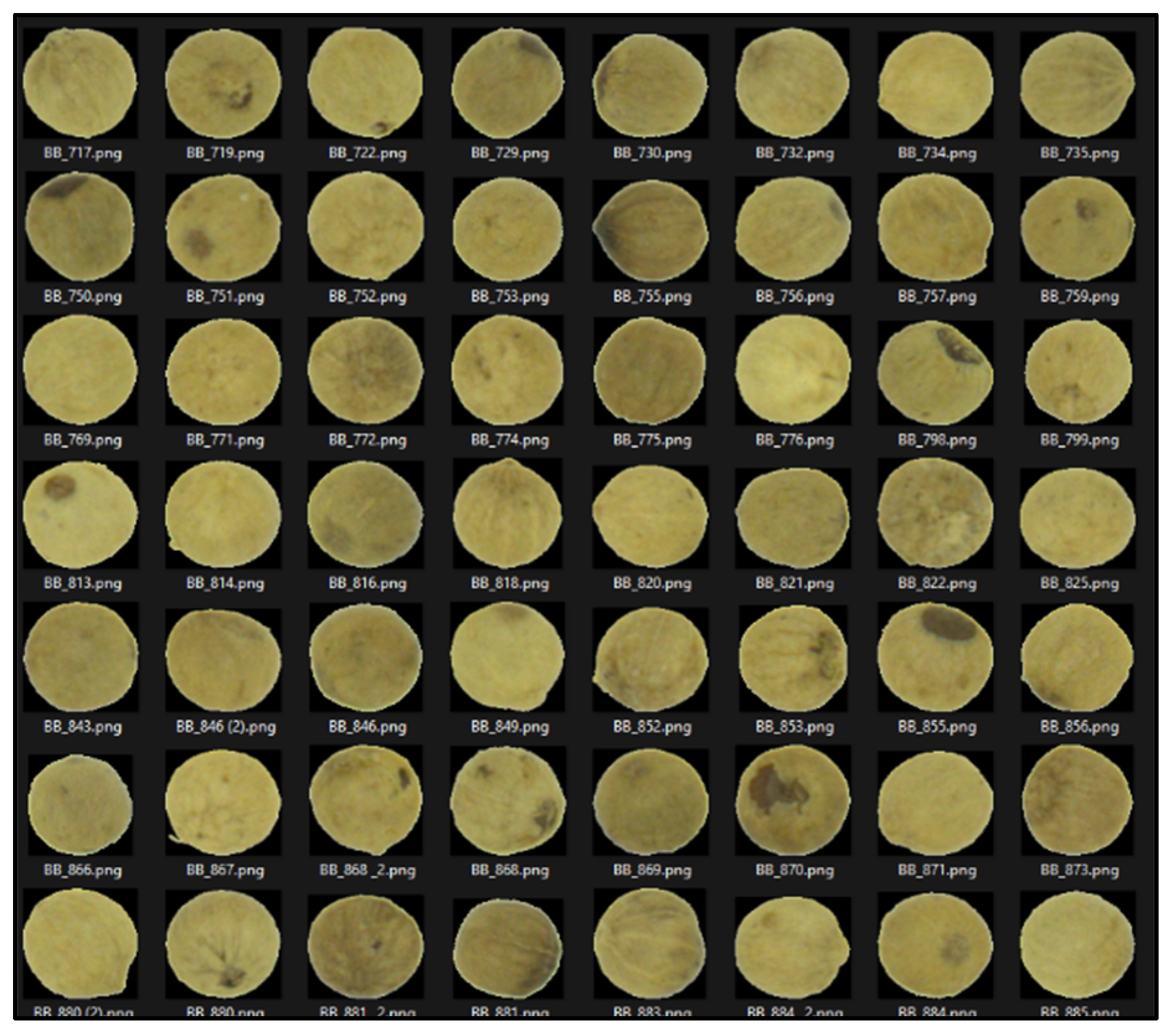 Jimaging 10 00041 g008