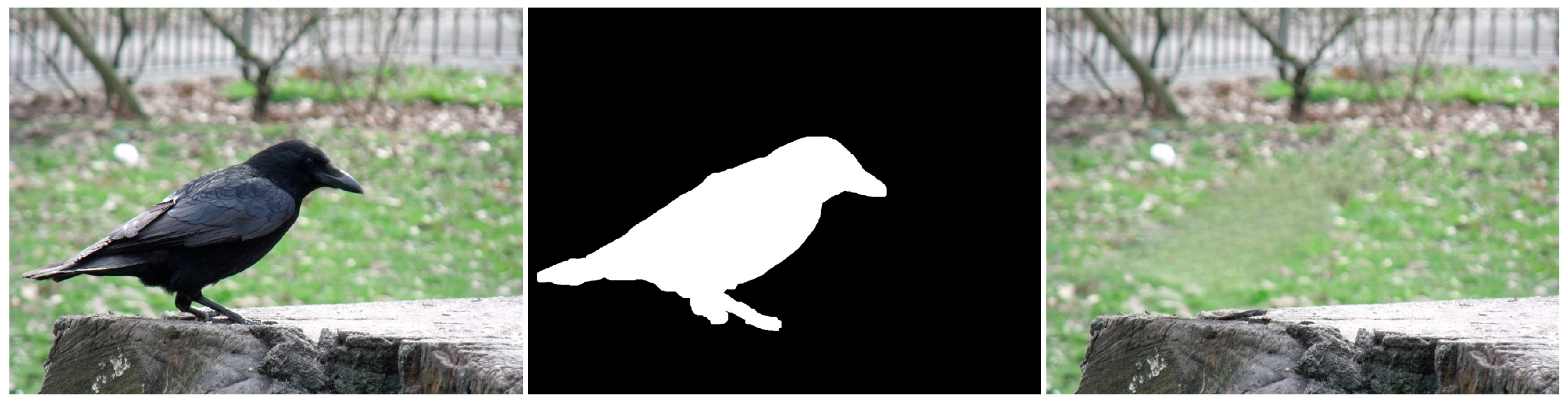 Jimaging 10 00042 g017