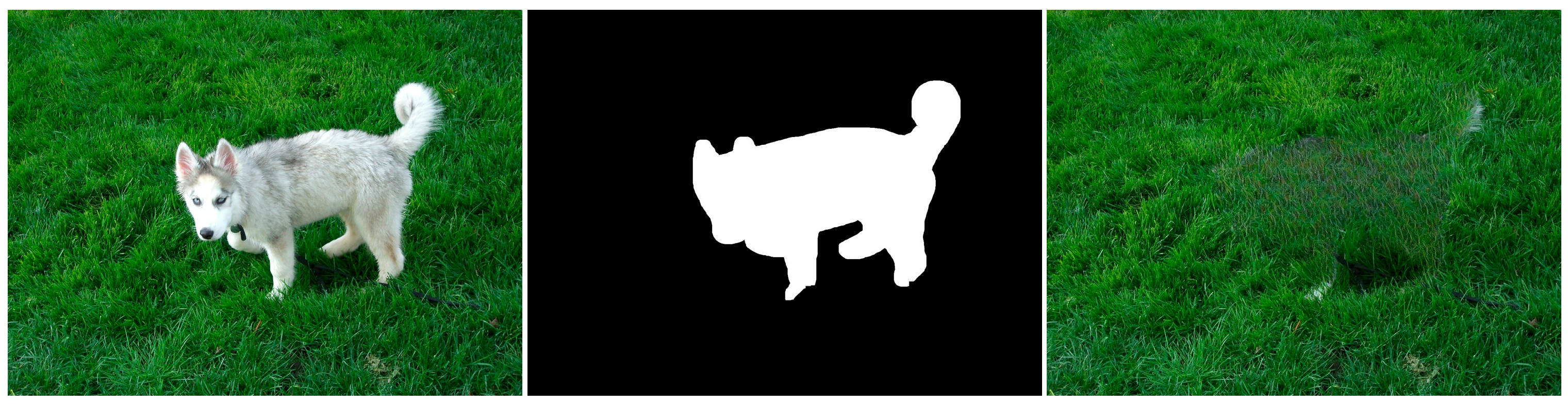 Jimaging 10 00042 g020