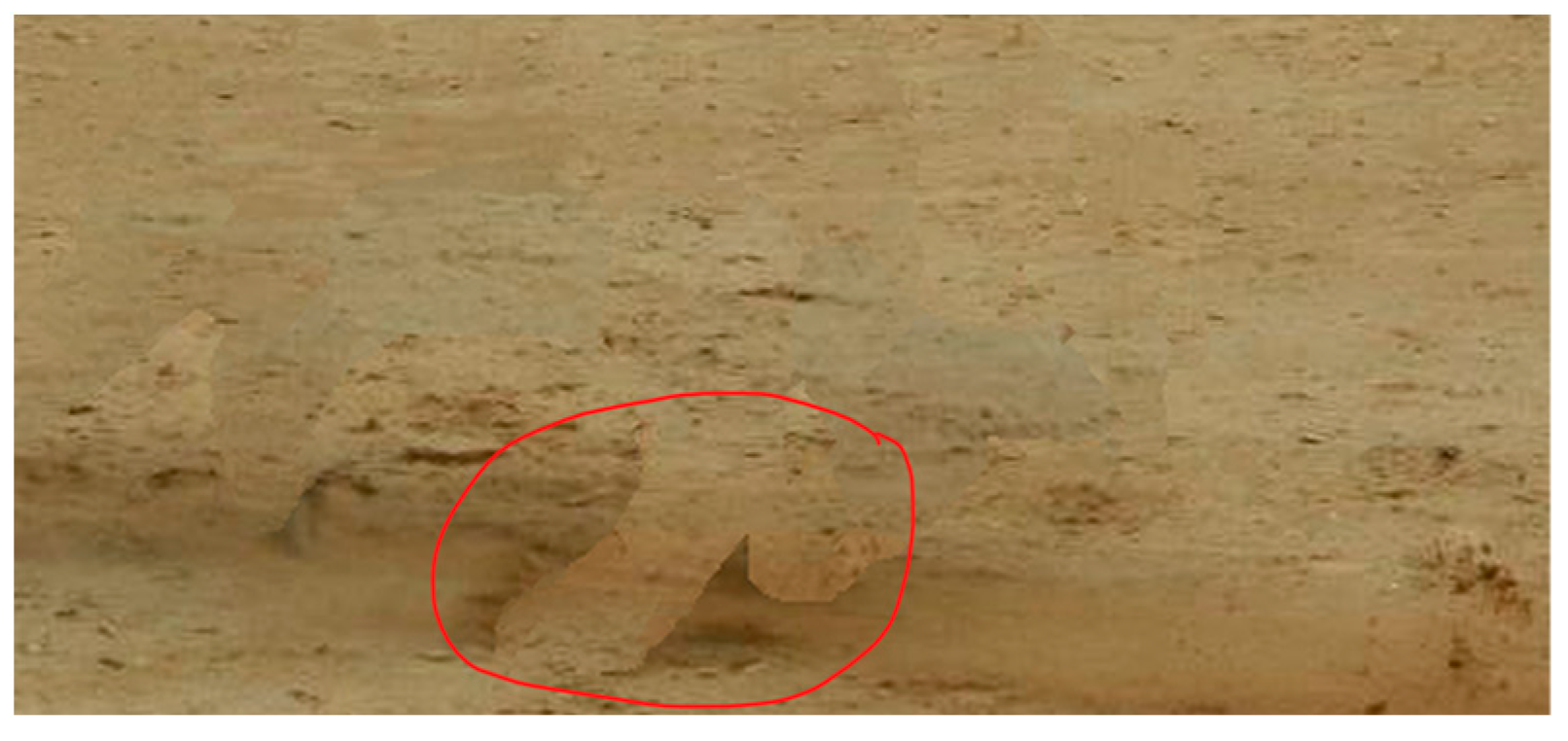 Jimaging 10 00042 g024