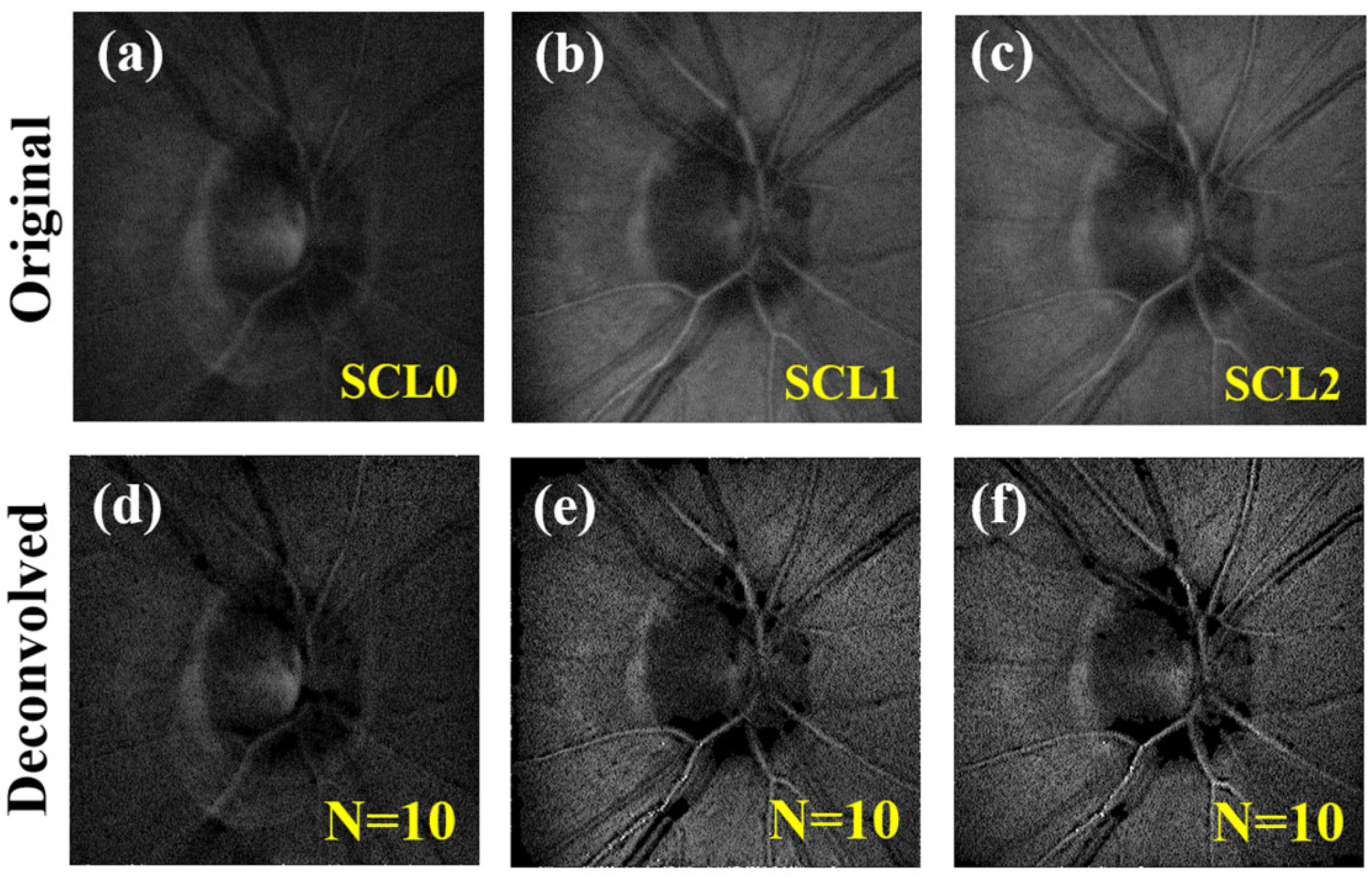 Jimaging 10 00043 g008