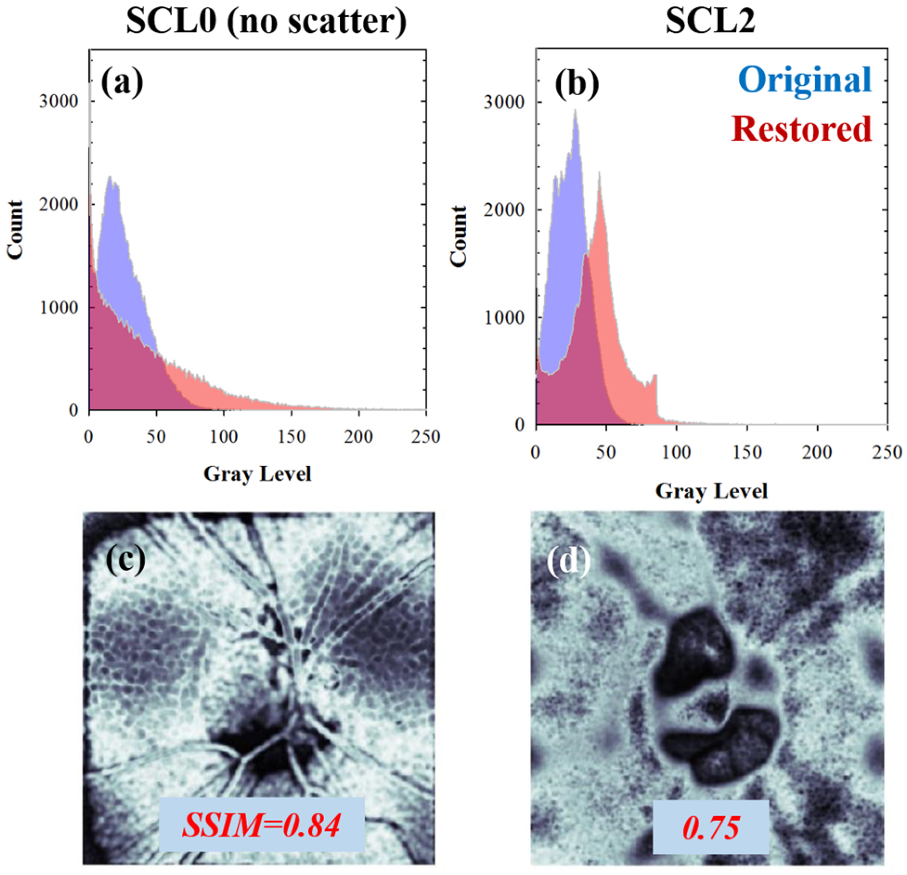 Jimaging 10 00043 g010