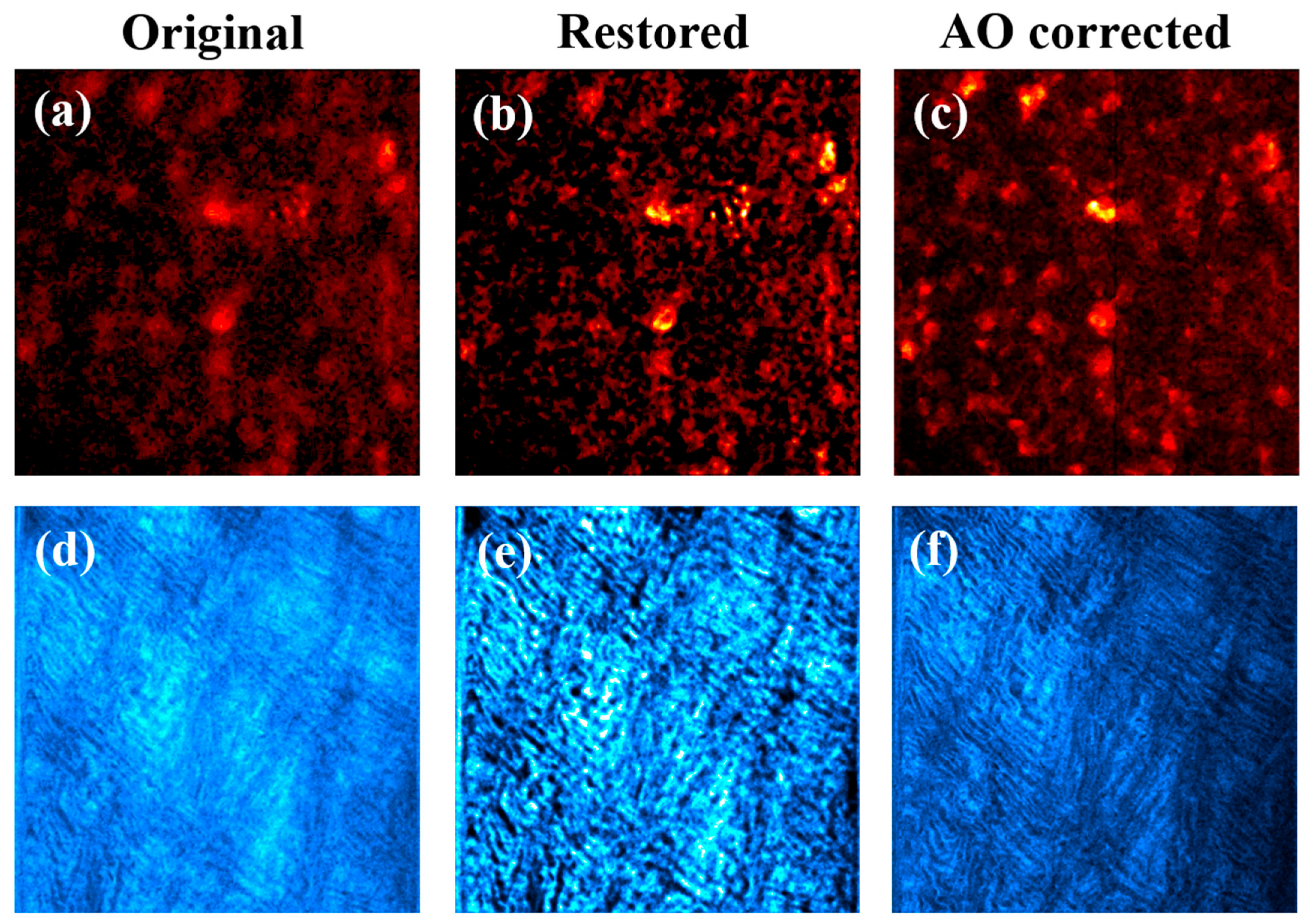 Jimaging 10 00043 g011