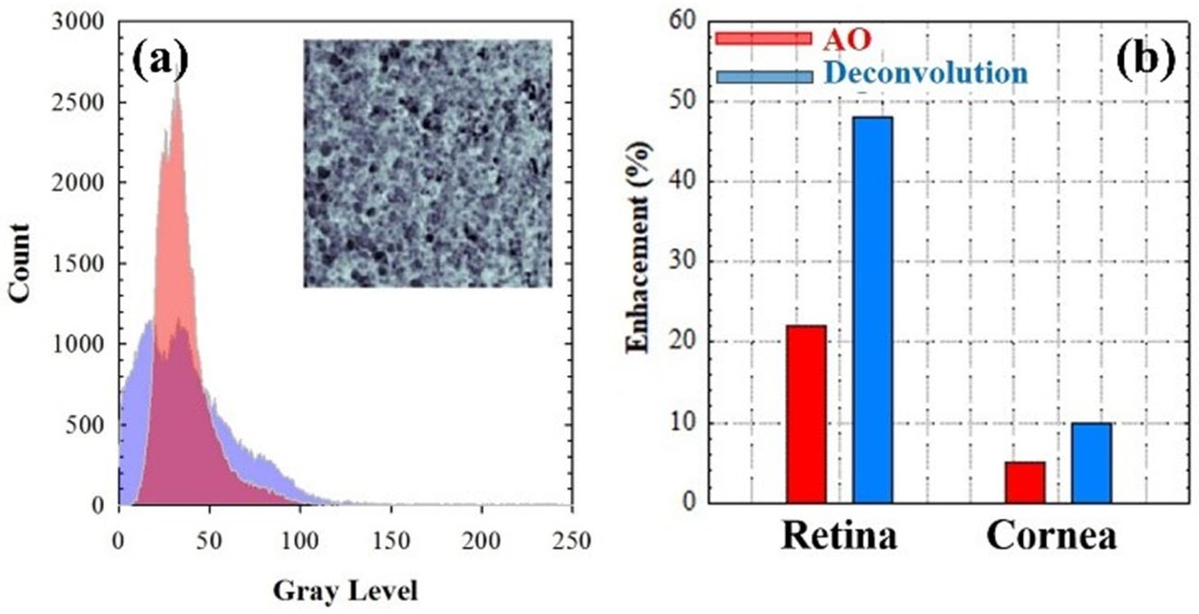 Jimaging 10 00043 g012