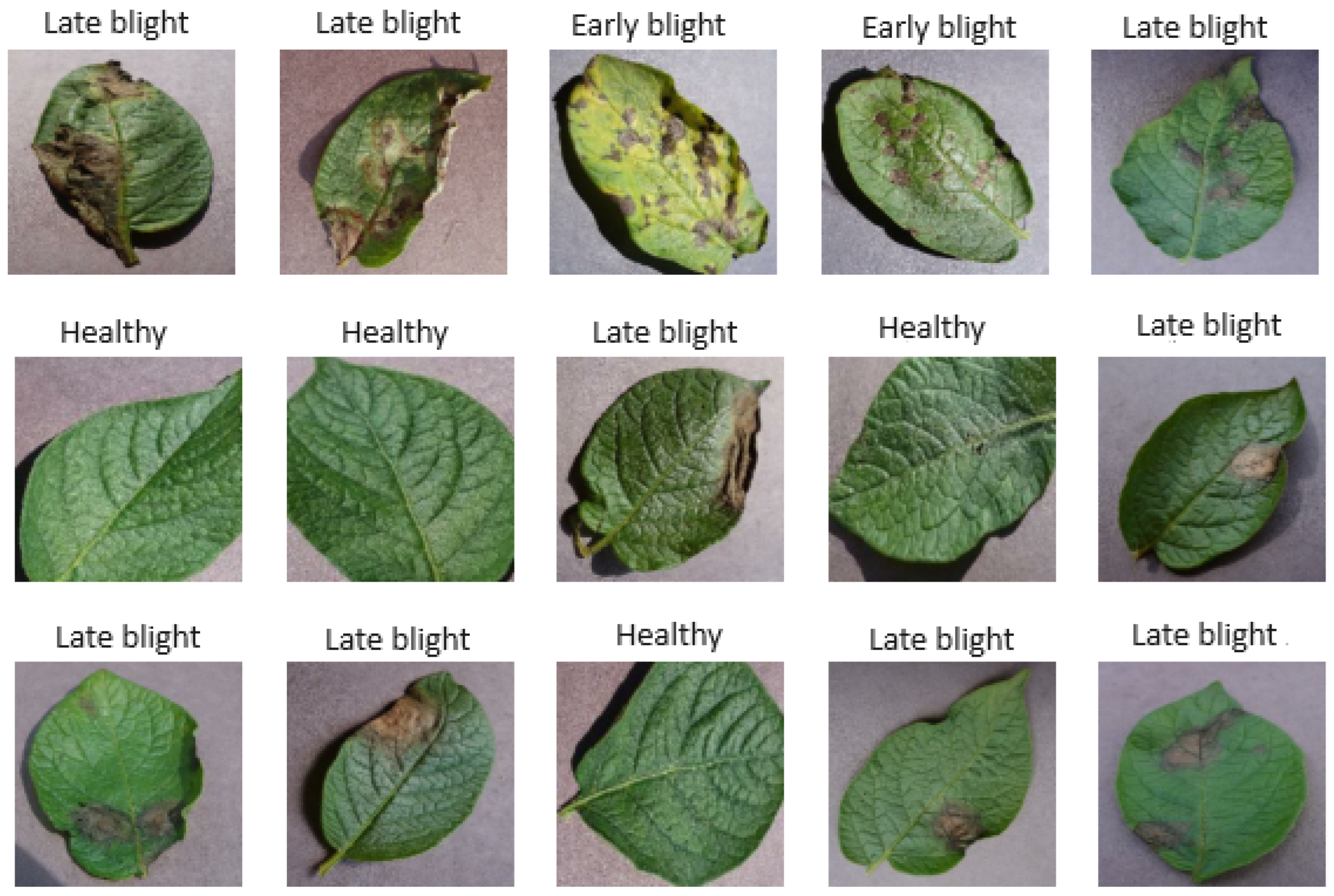 Jimaging 10 00047 g001