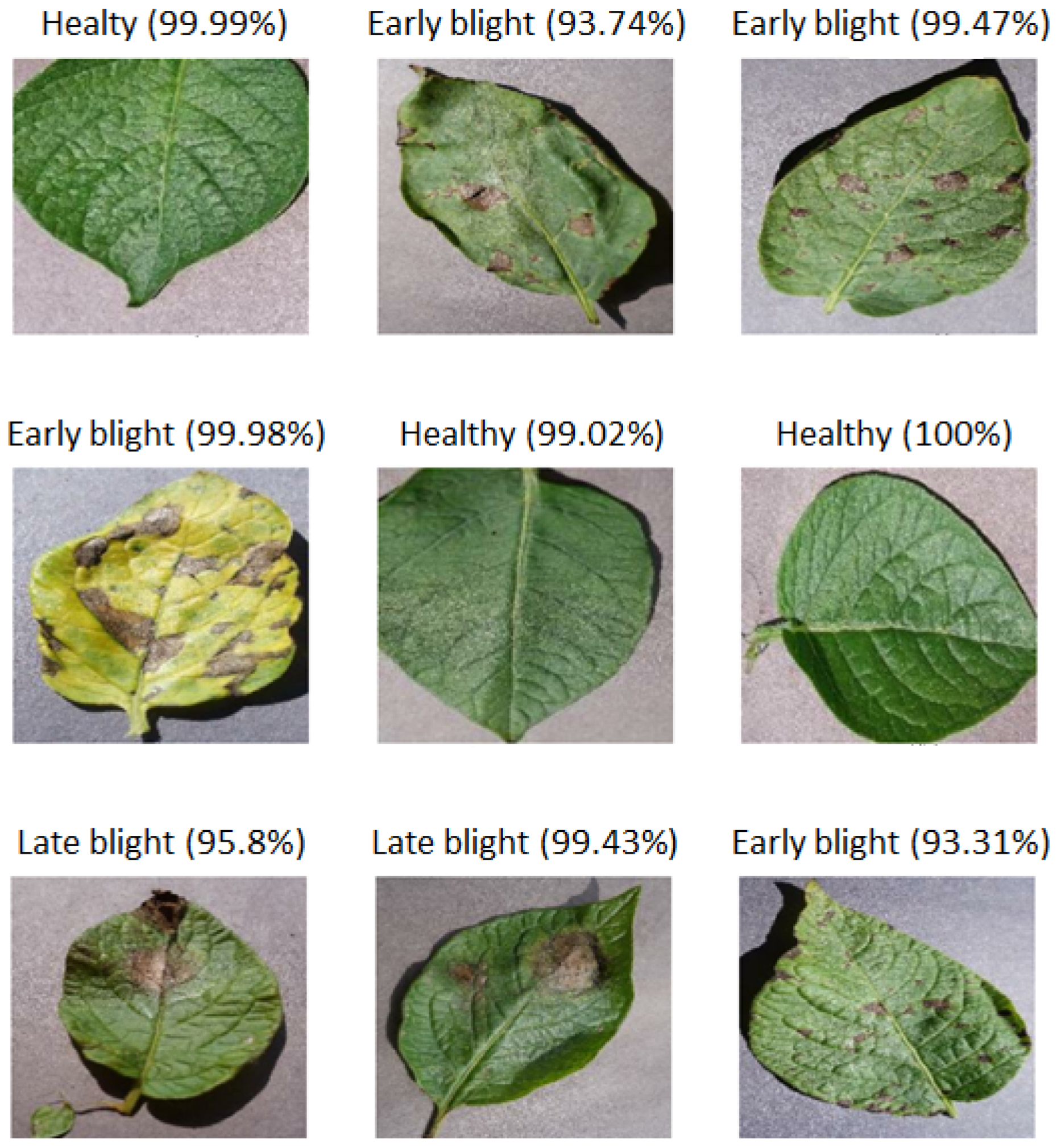 Jimaging 10 00047 g004