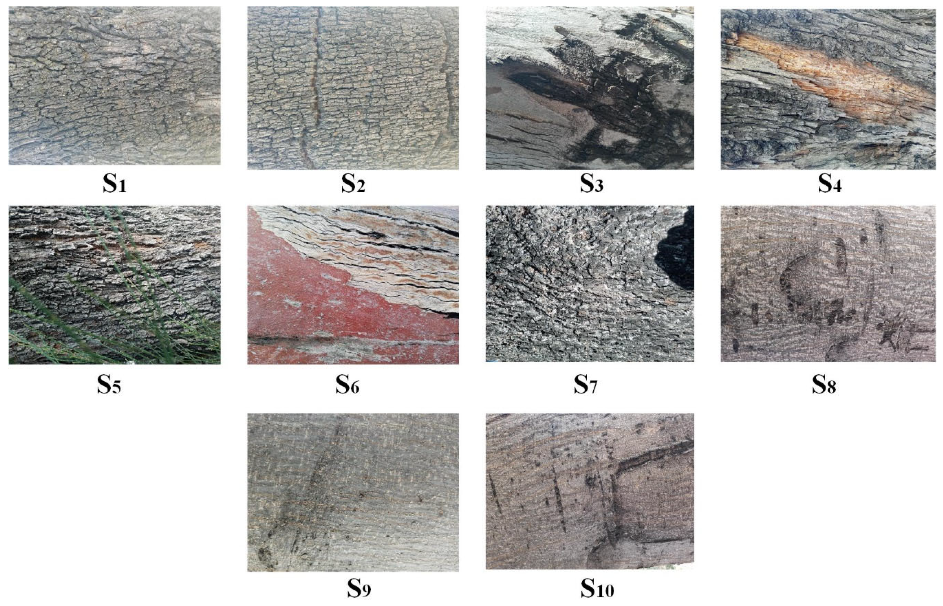 Jimaging 10 00048 g007