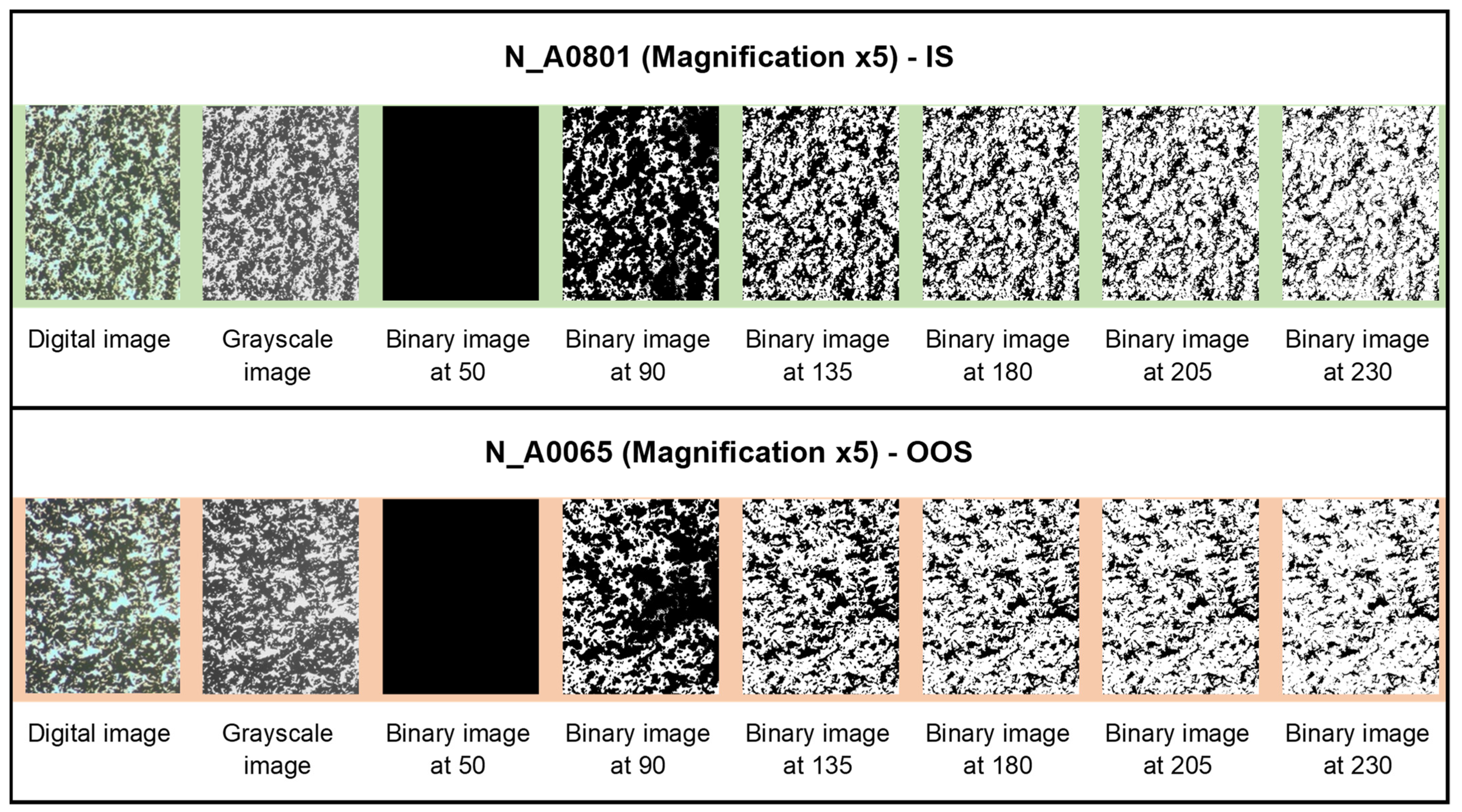 Jimaging 10 00053 g008