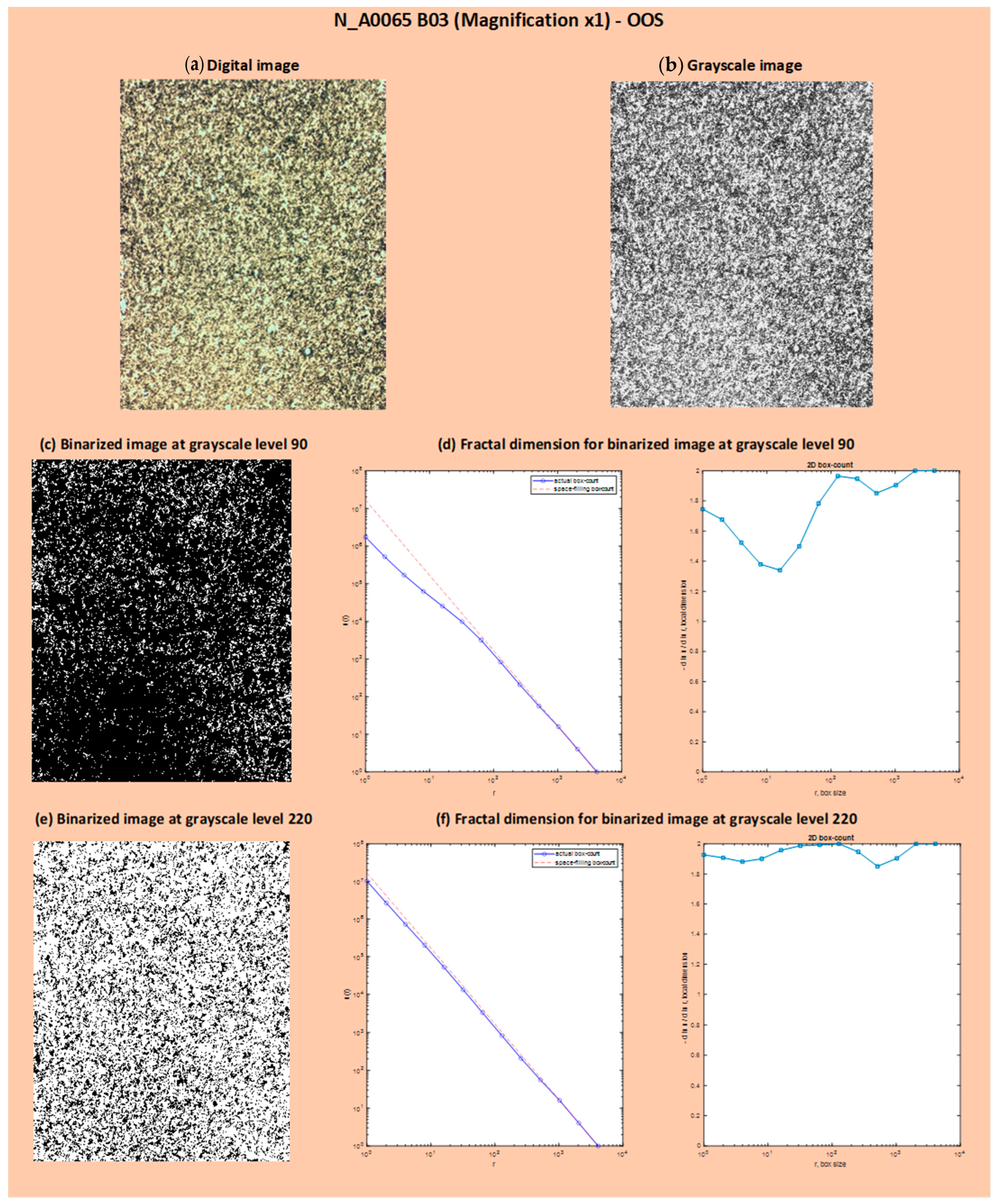 Jimaging 10 00053 g011