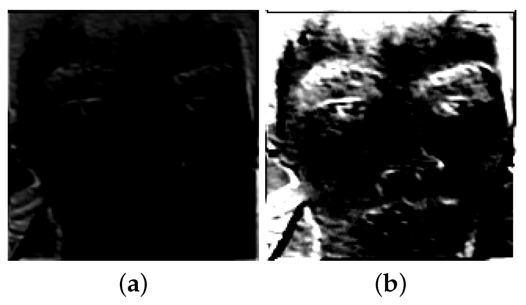 Jimaging 10 00059 g006