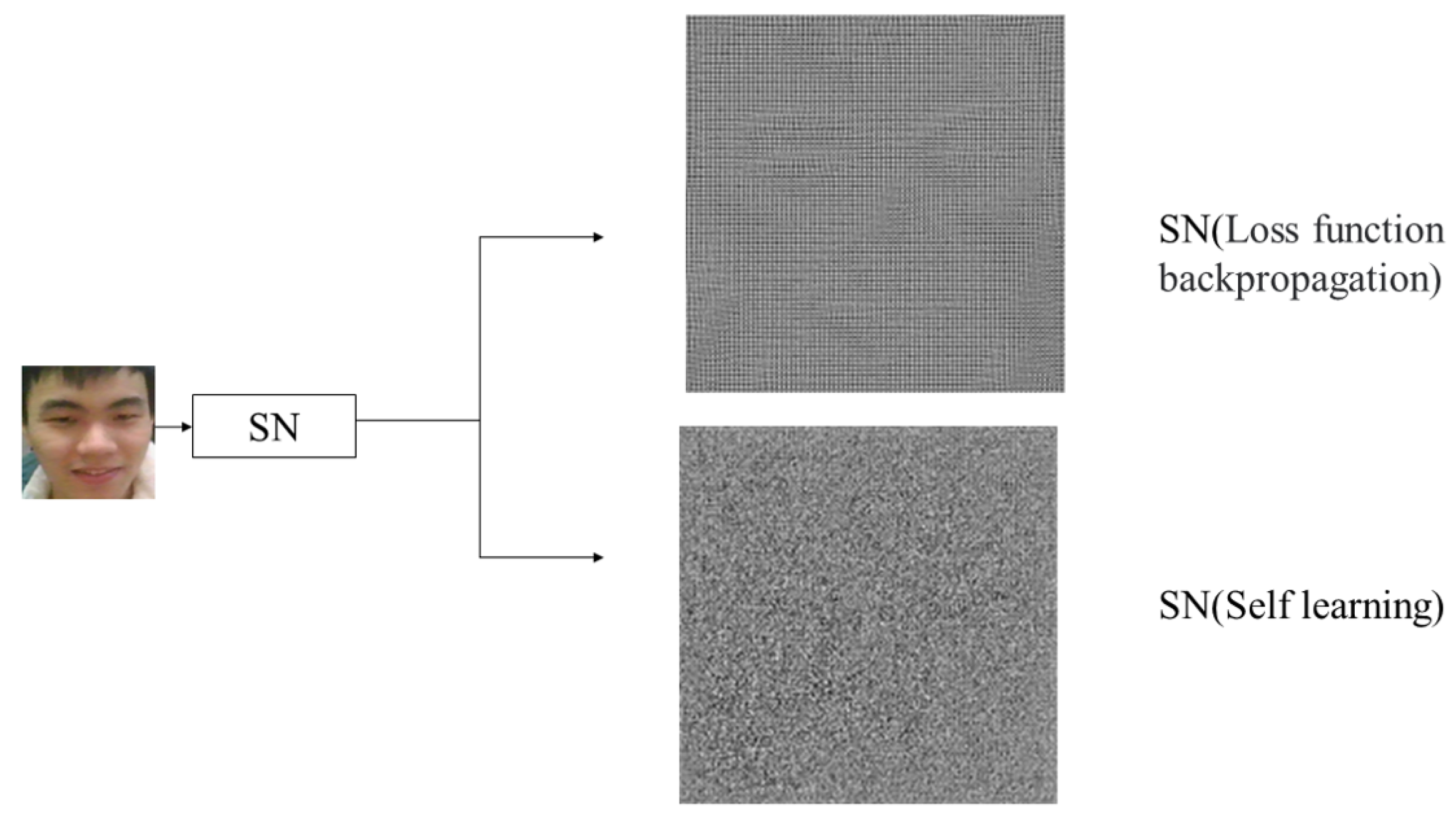 Jimaging 10 00059 g011