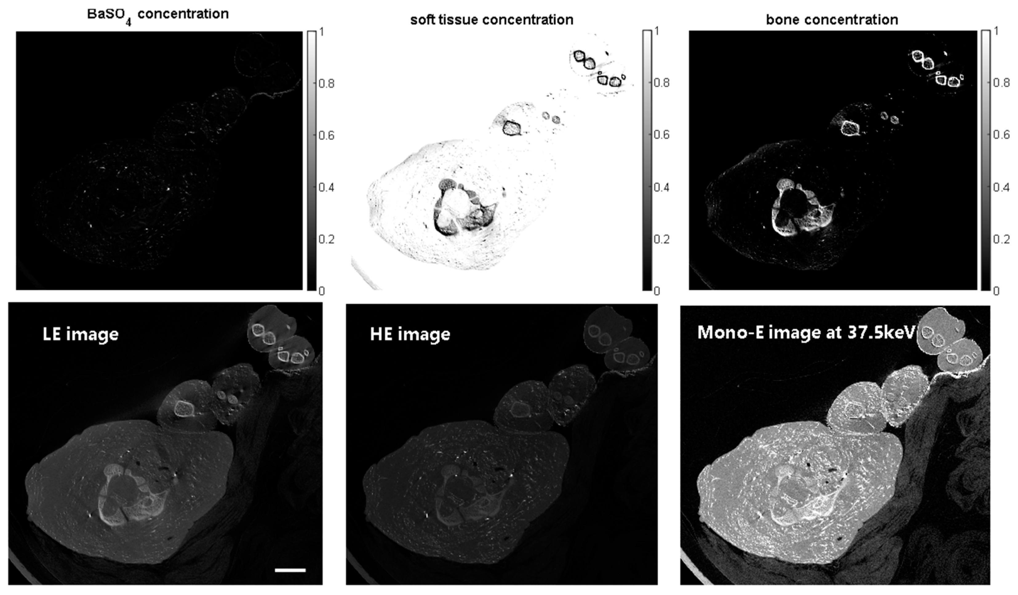 Jimaging 10 00060 g002