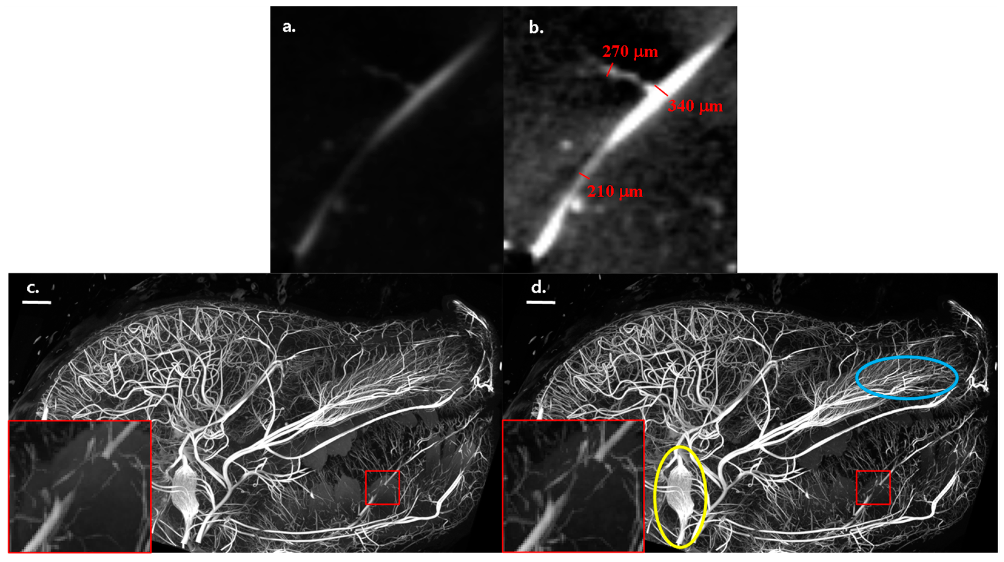 Jimaging 10 00060 g003