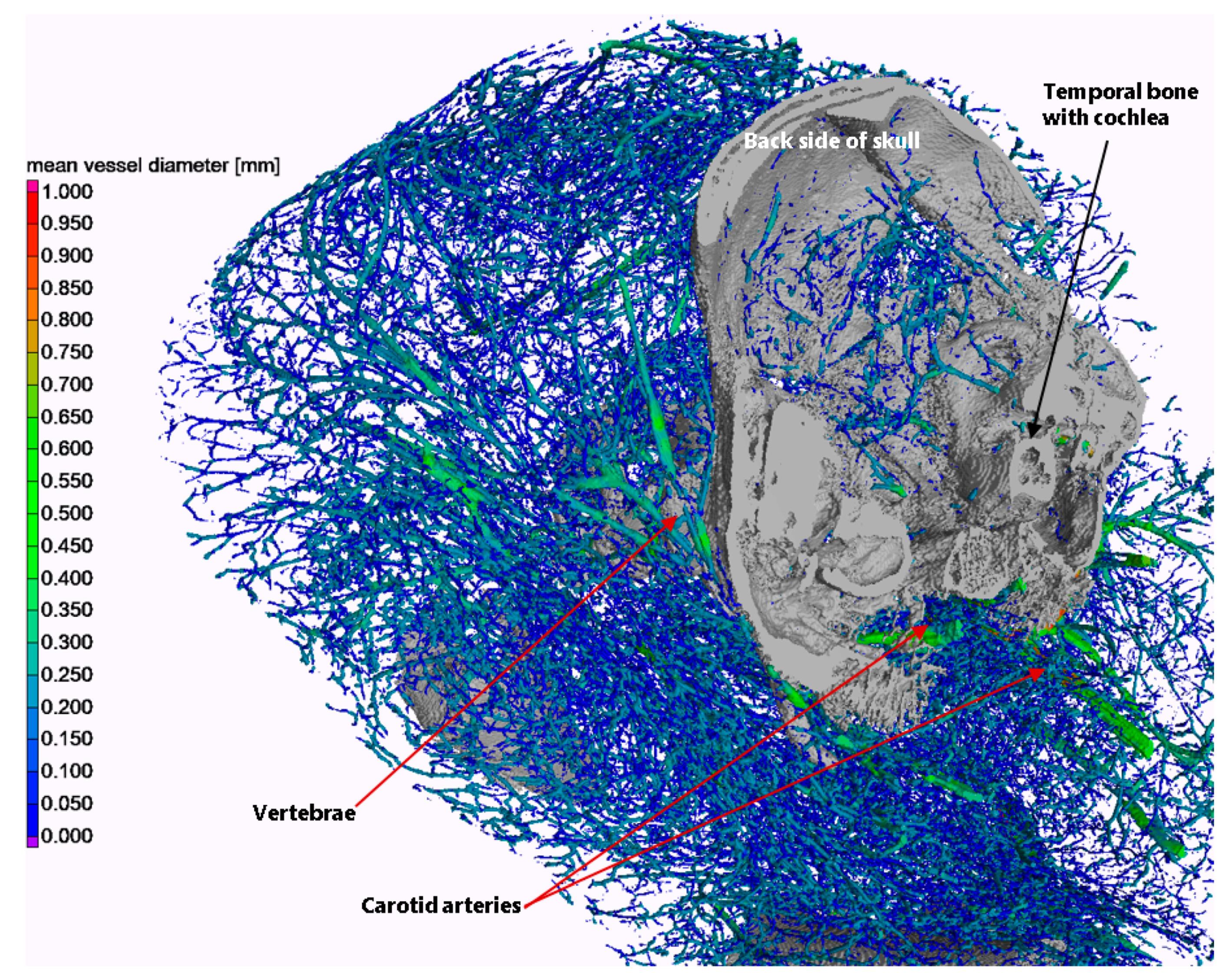 Jimaging 10 00060 g005