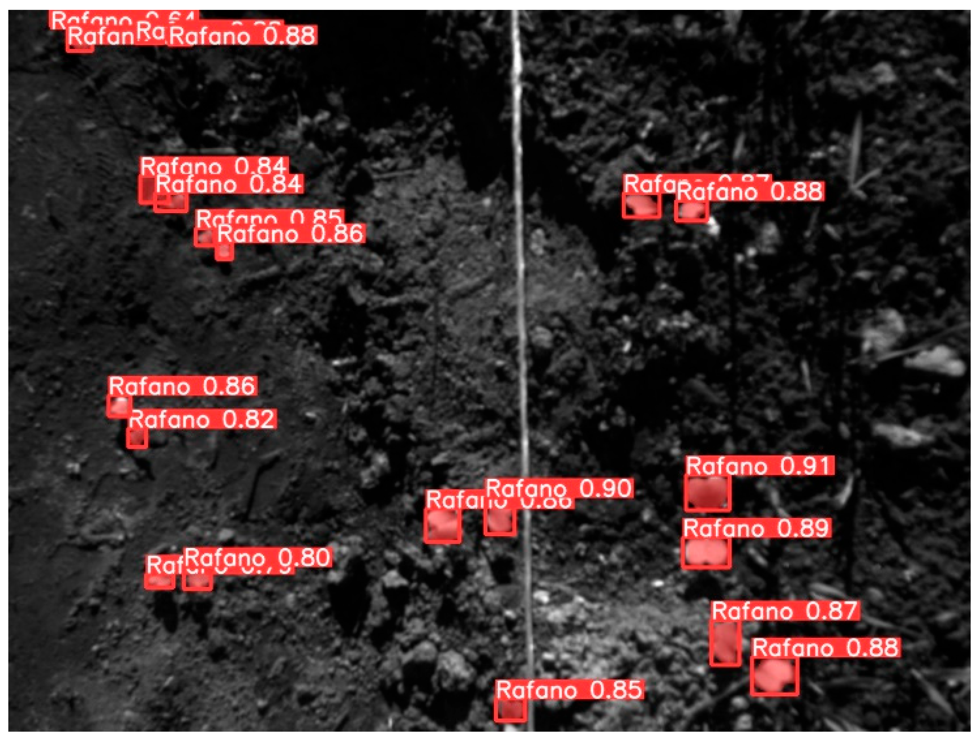 Jimaging 10 00061 g014