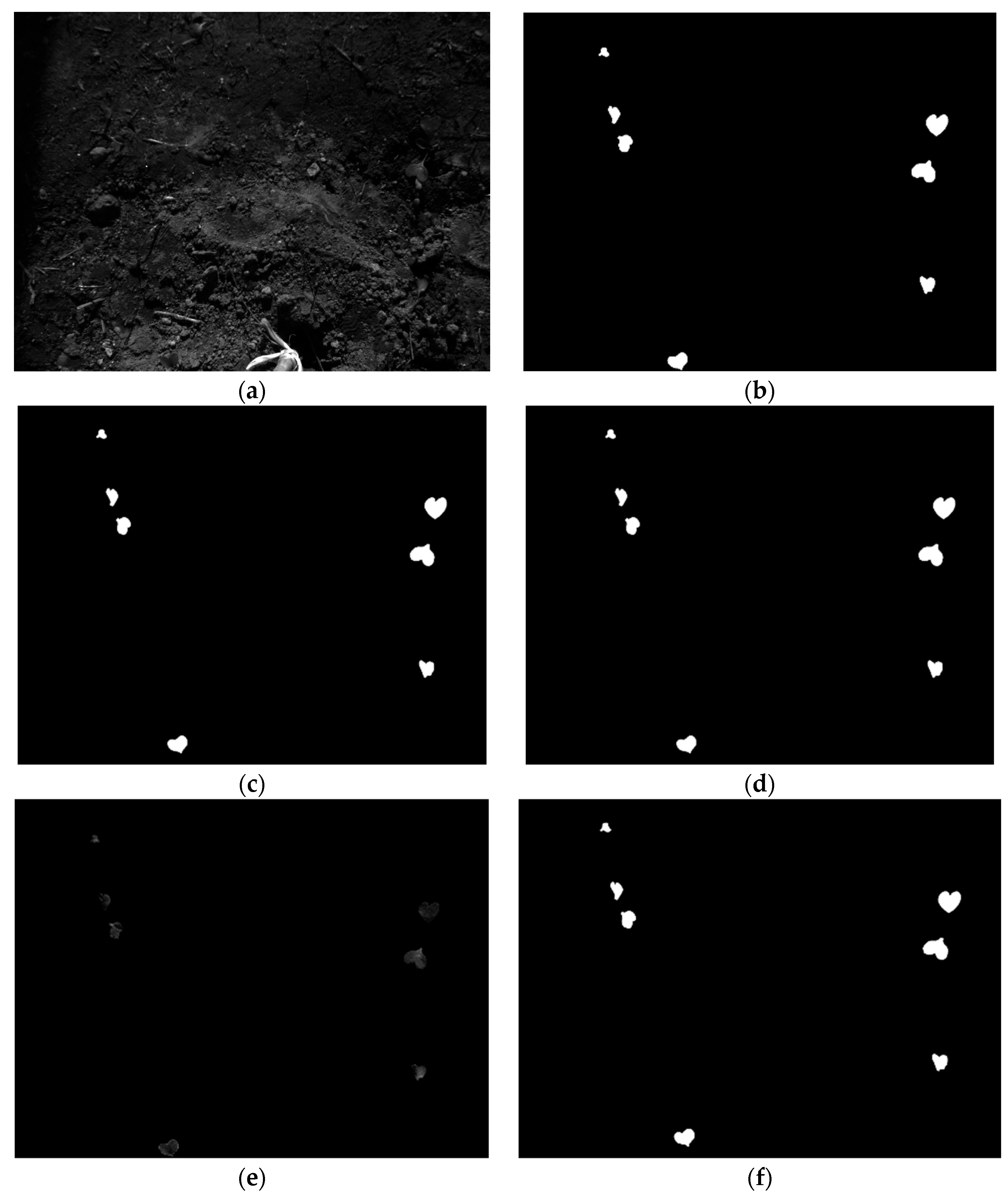 Jimaging 10 00061 g015a