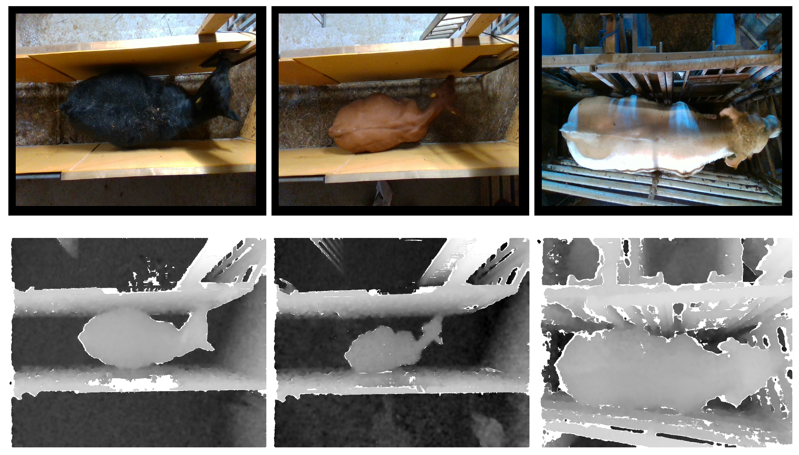 Jimaging 10 00072 g004