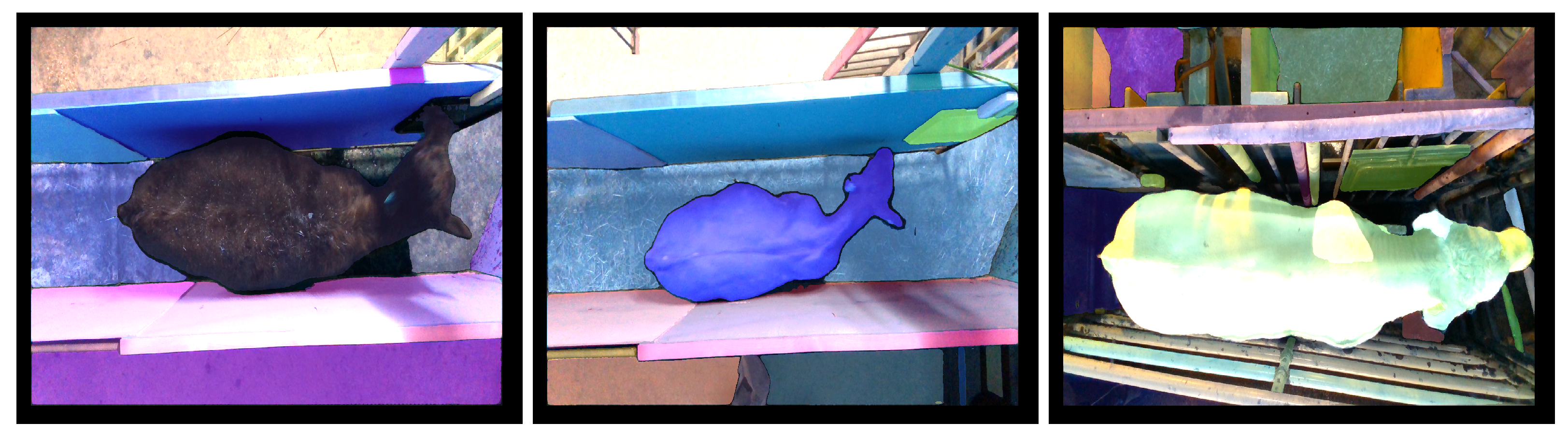 Jimaging 10 00072 g005