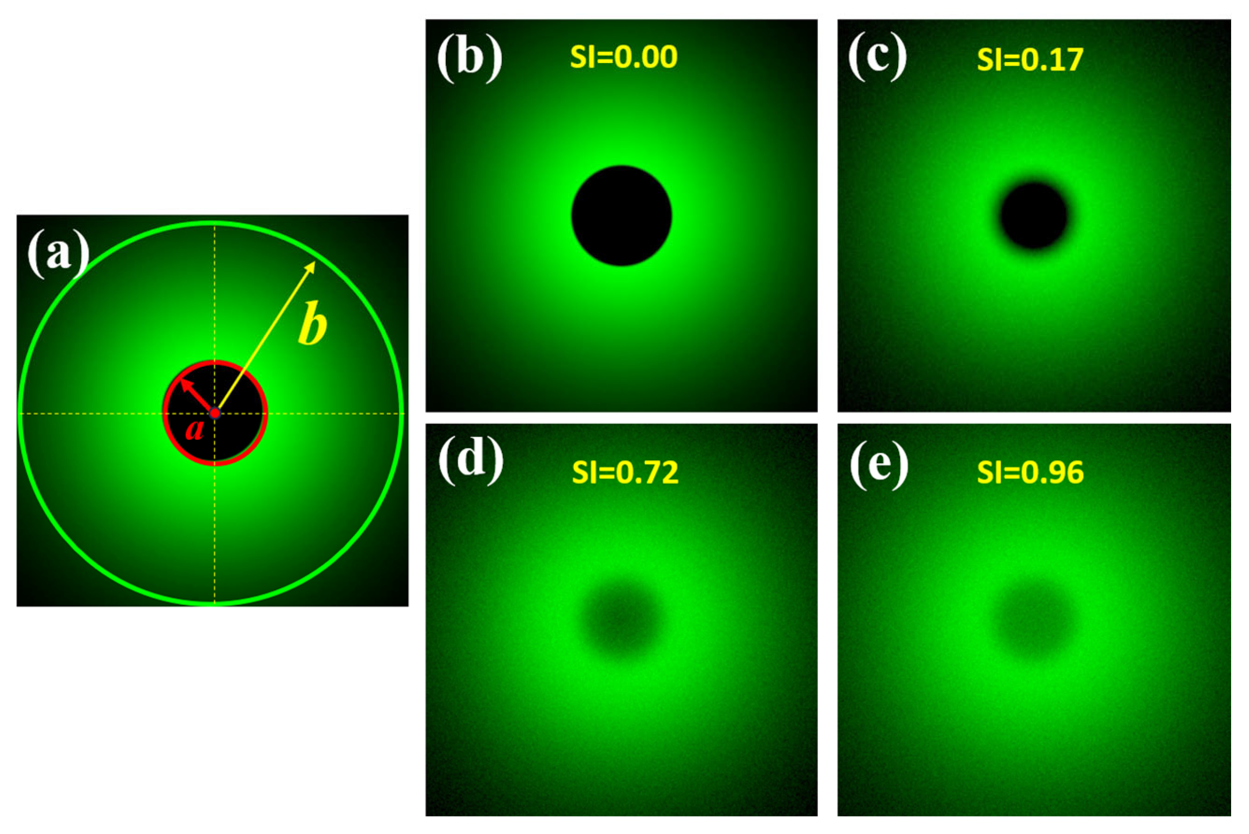 Jimaging 10 00089 g002