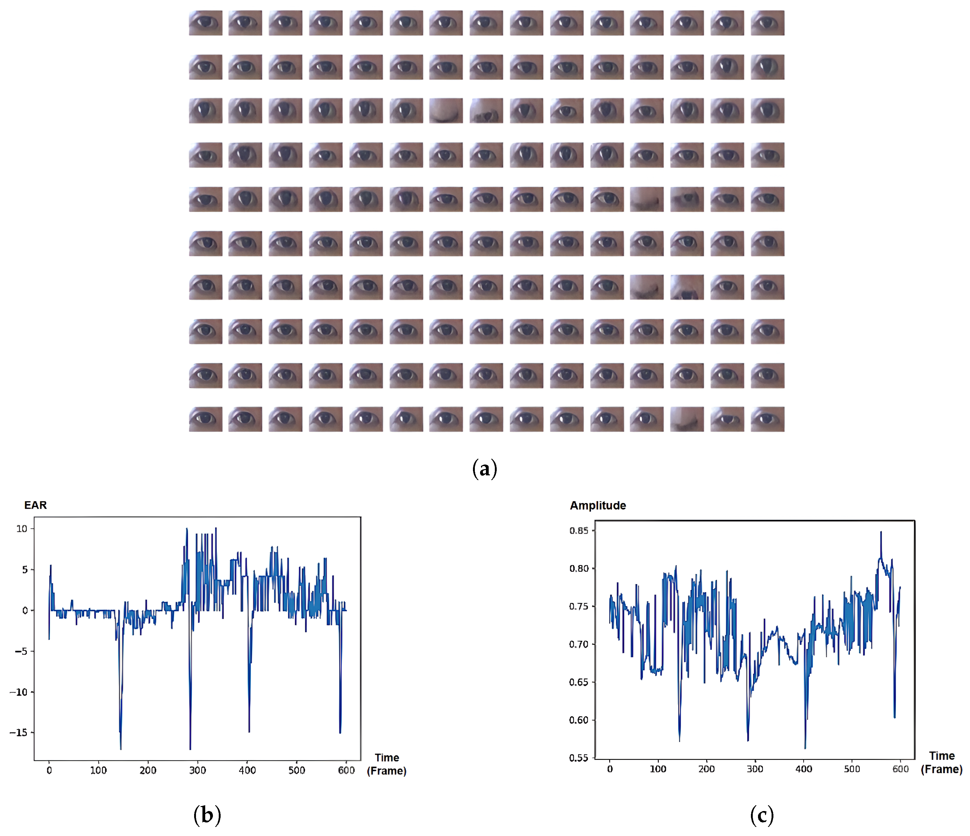 Jimaging 10 00097 g006
