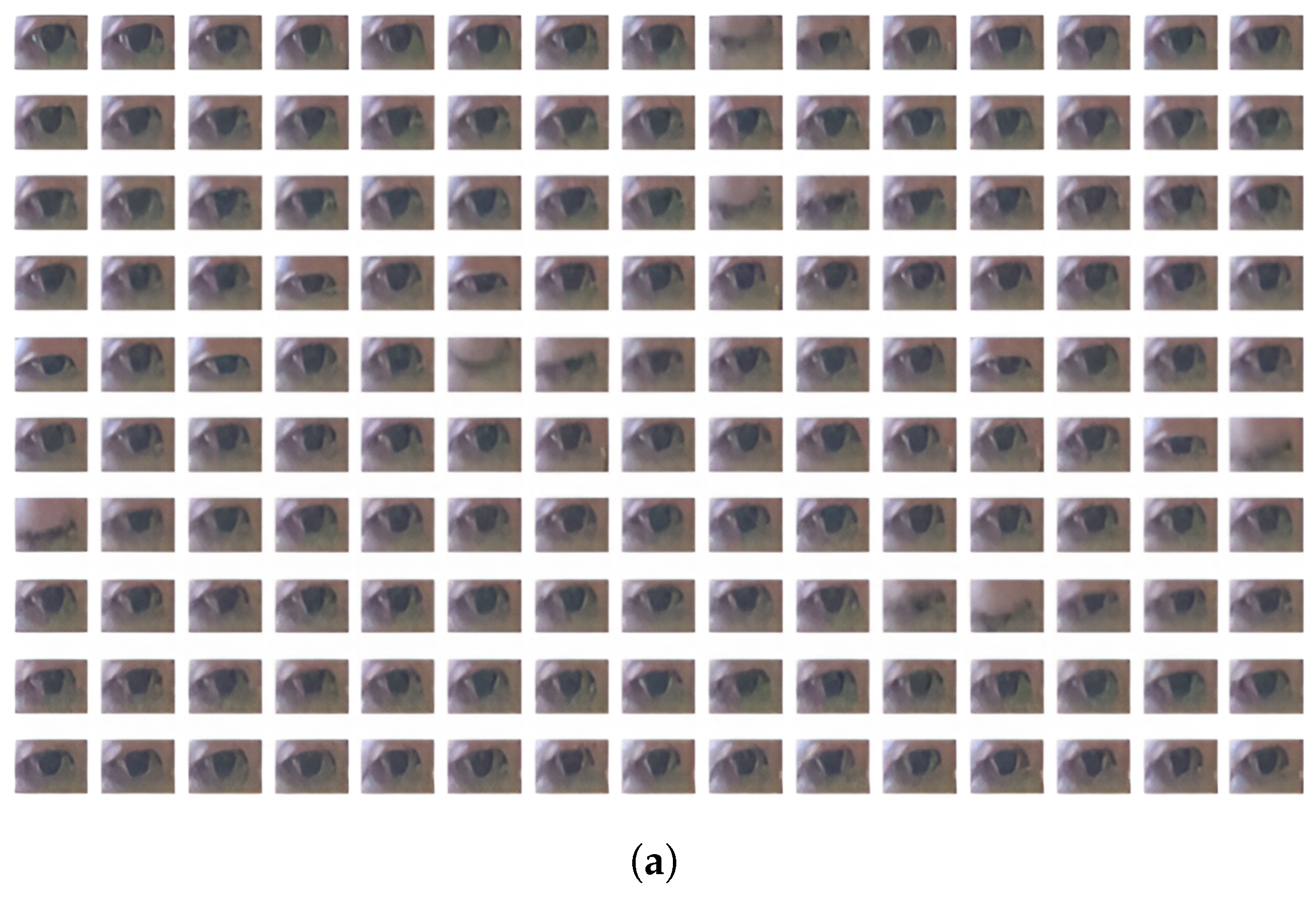 Jimaging 10 00097 g007a