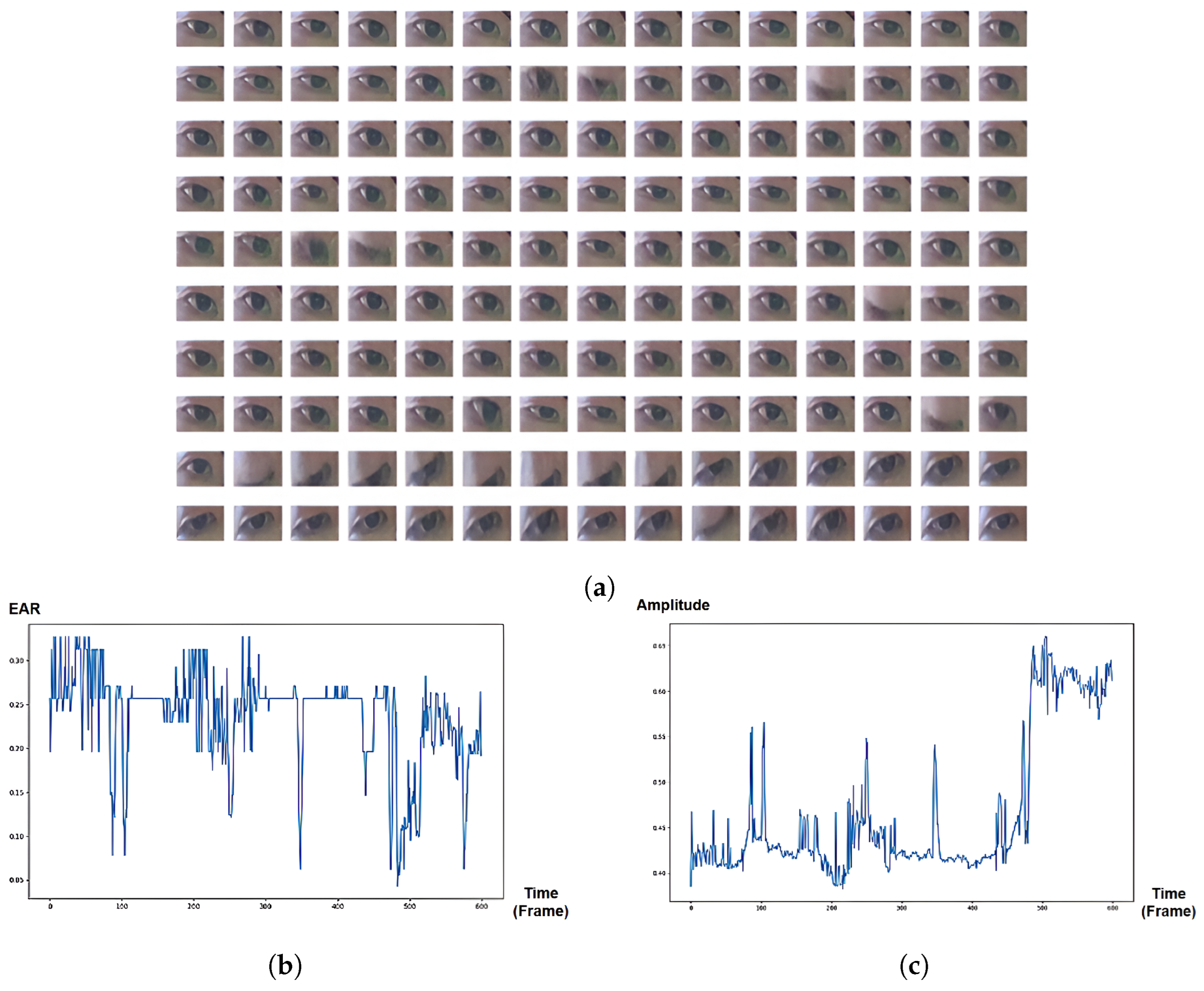 Jimaging 10 00097 g008