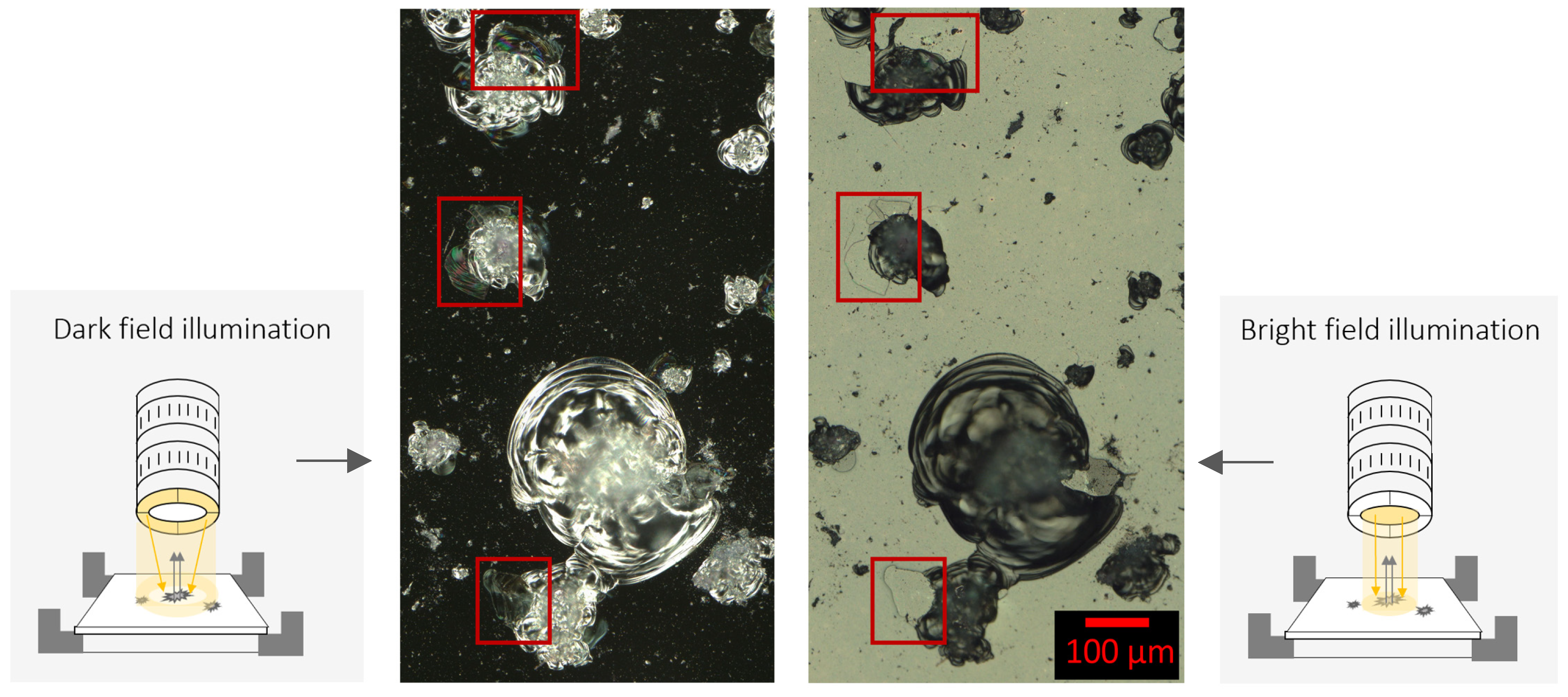 Jimaging 10 00101 g006