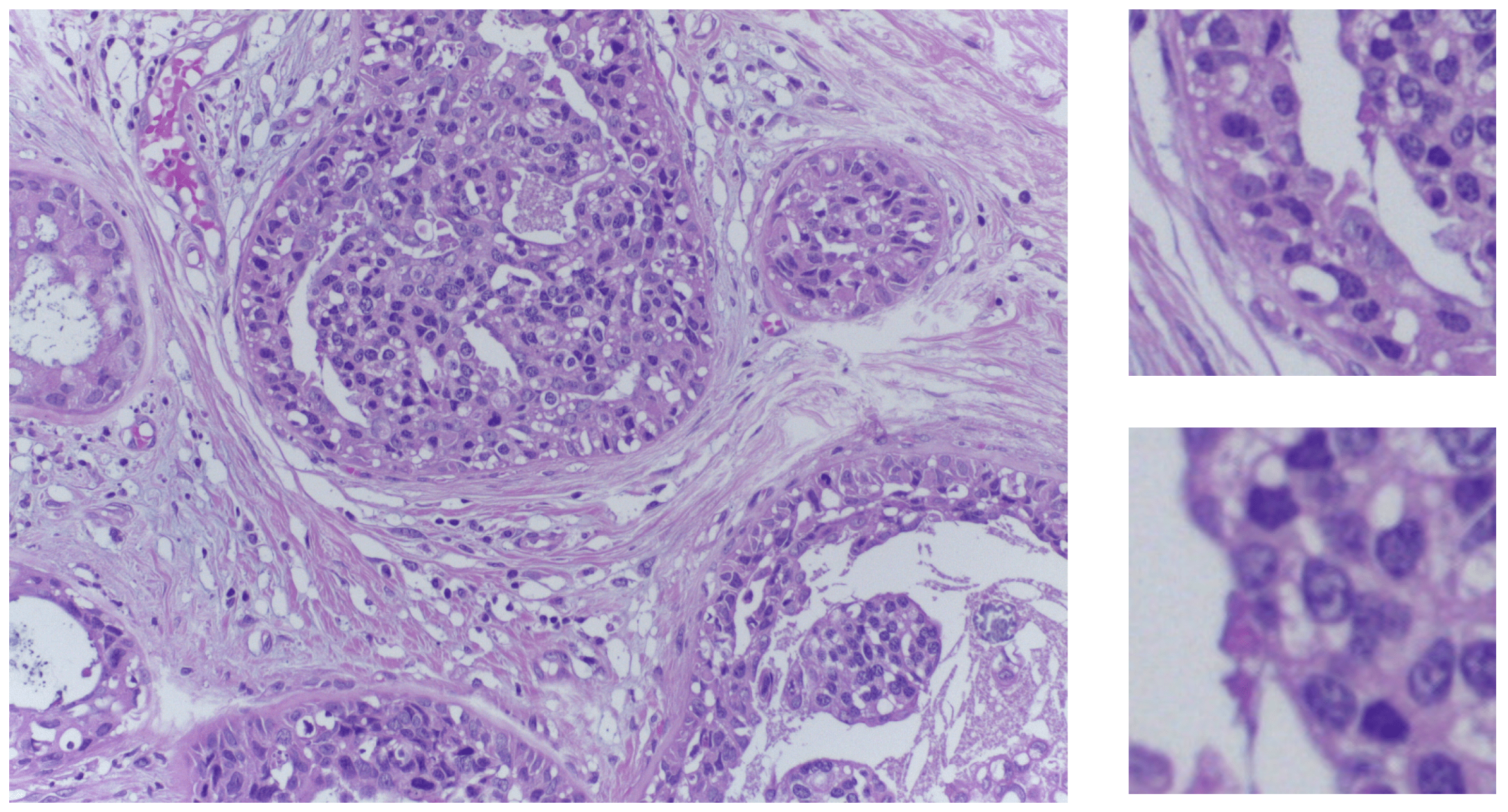 Jimaging 10 00108 g001