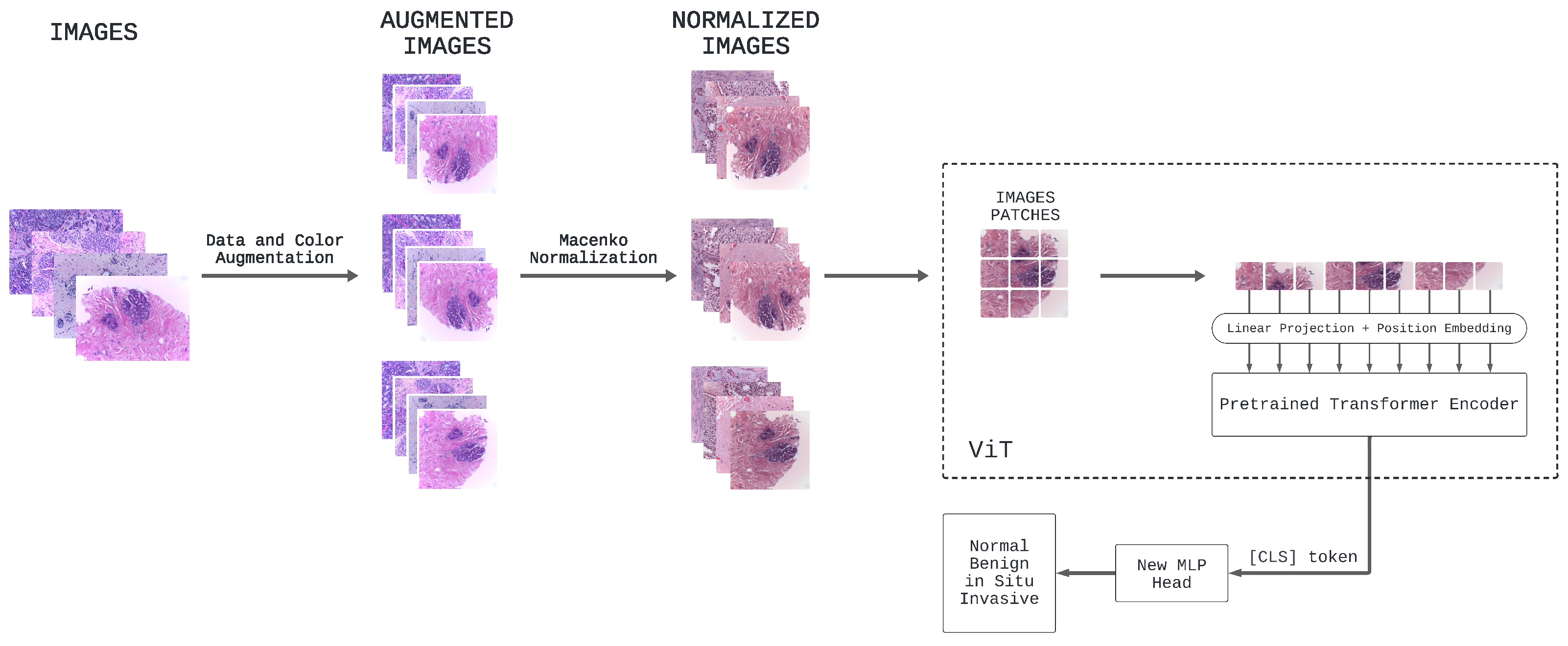 Jimaging 10 00108 g003