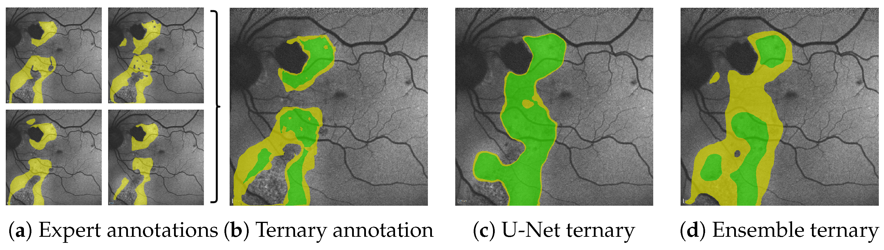 Jimaging 10 00116 g001