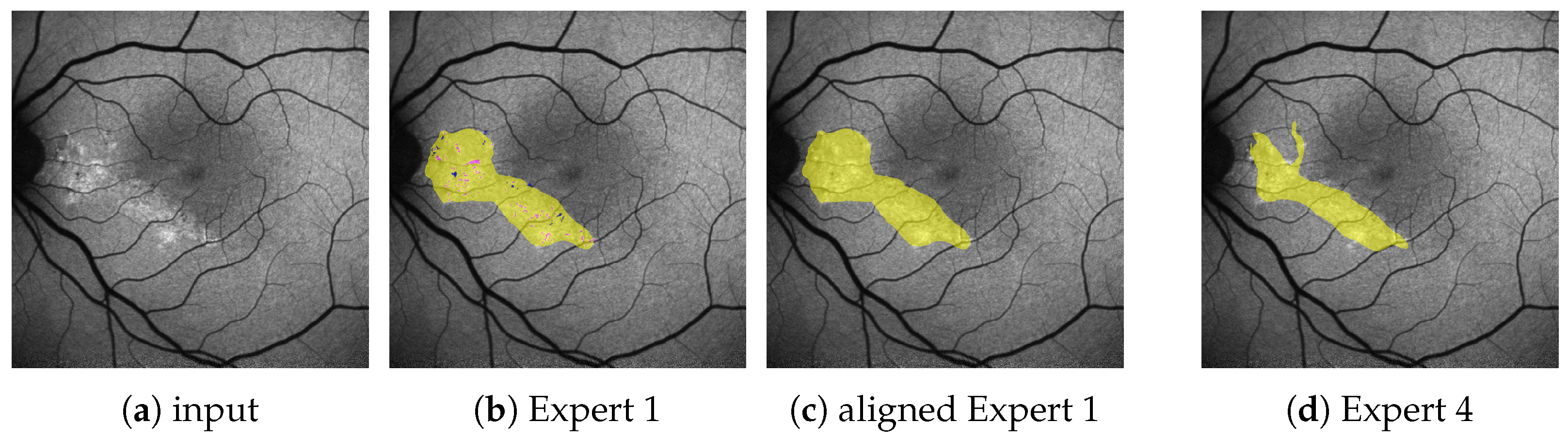 Jimaging 10 00116 g002
