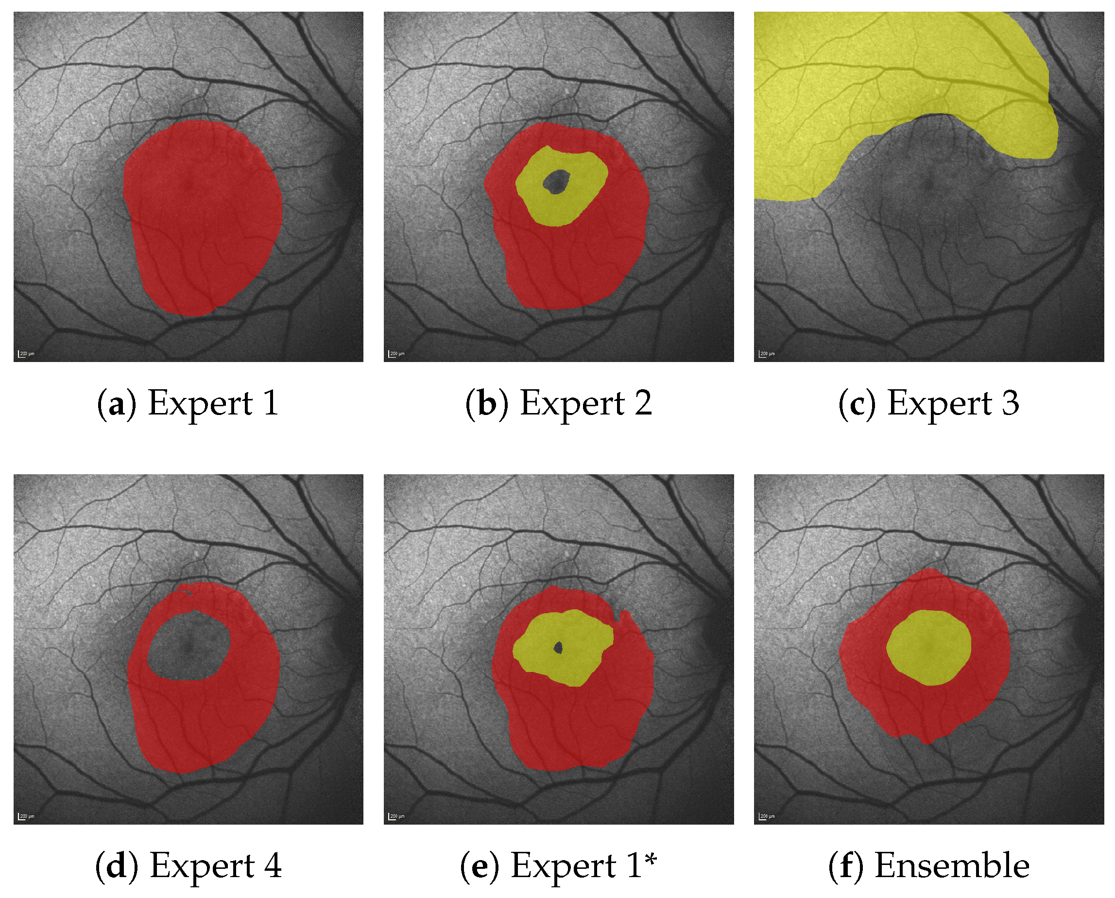 Jimaging 10 00116 g009
