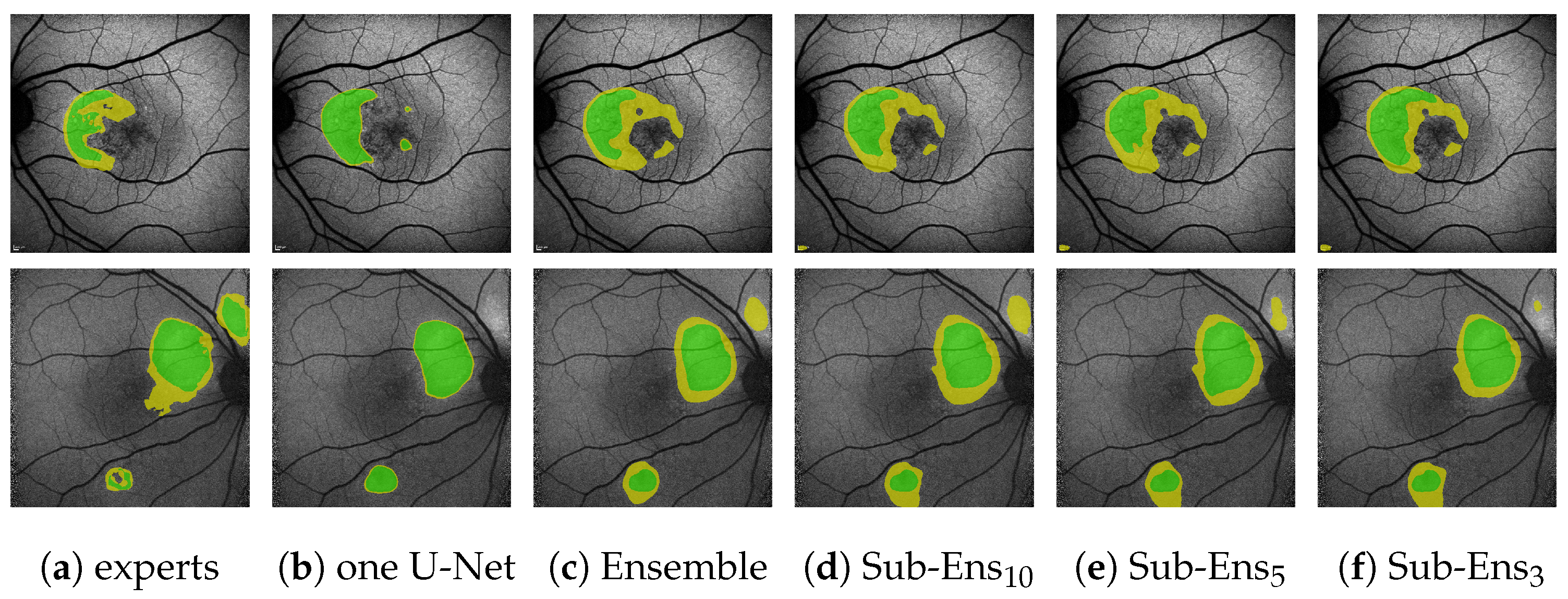 Jimaging 10 00116 g010