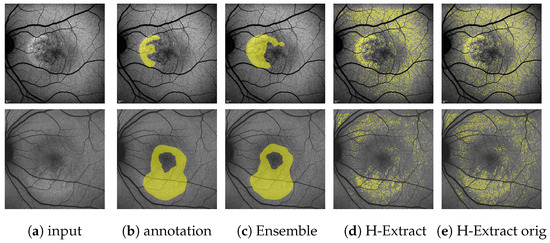 Jimaging 10 00116 g0a7