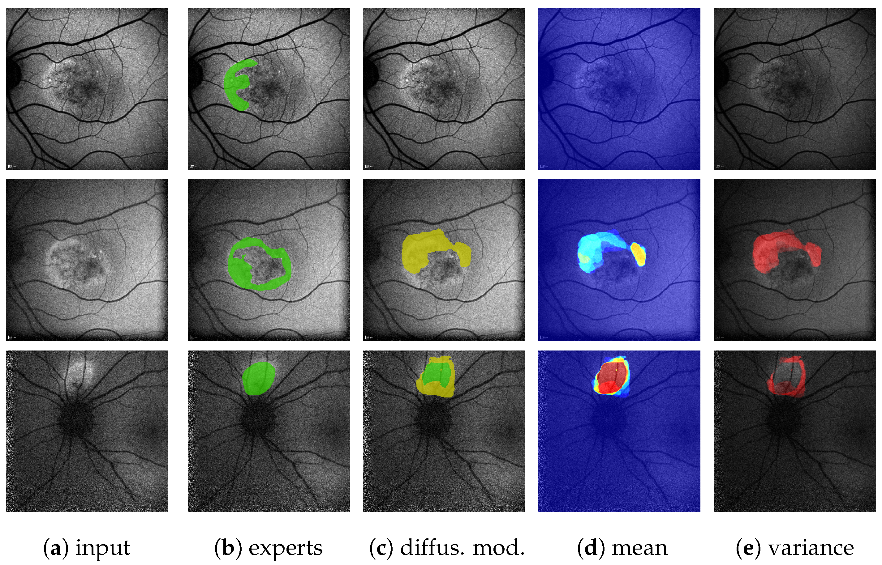 Jimaging 10 00116 g0a8