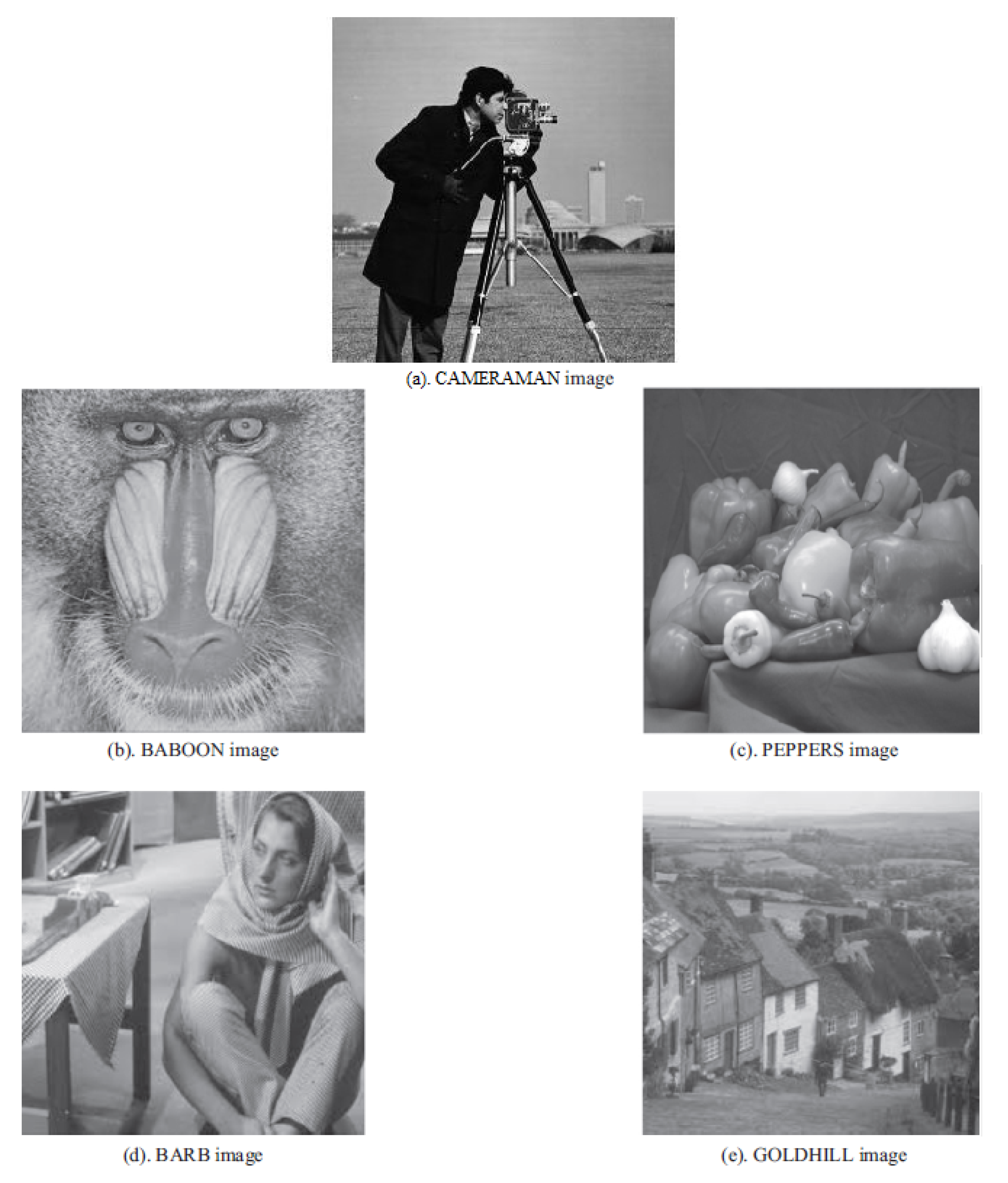 Jimaging 10 00124 g004