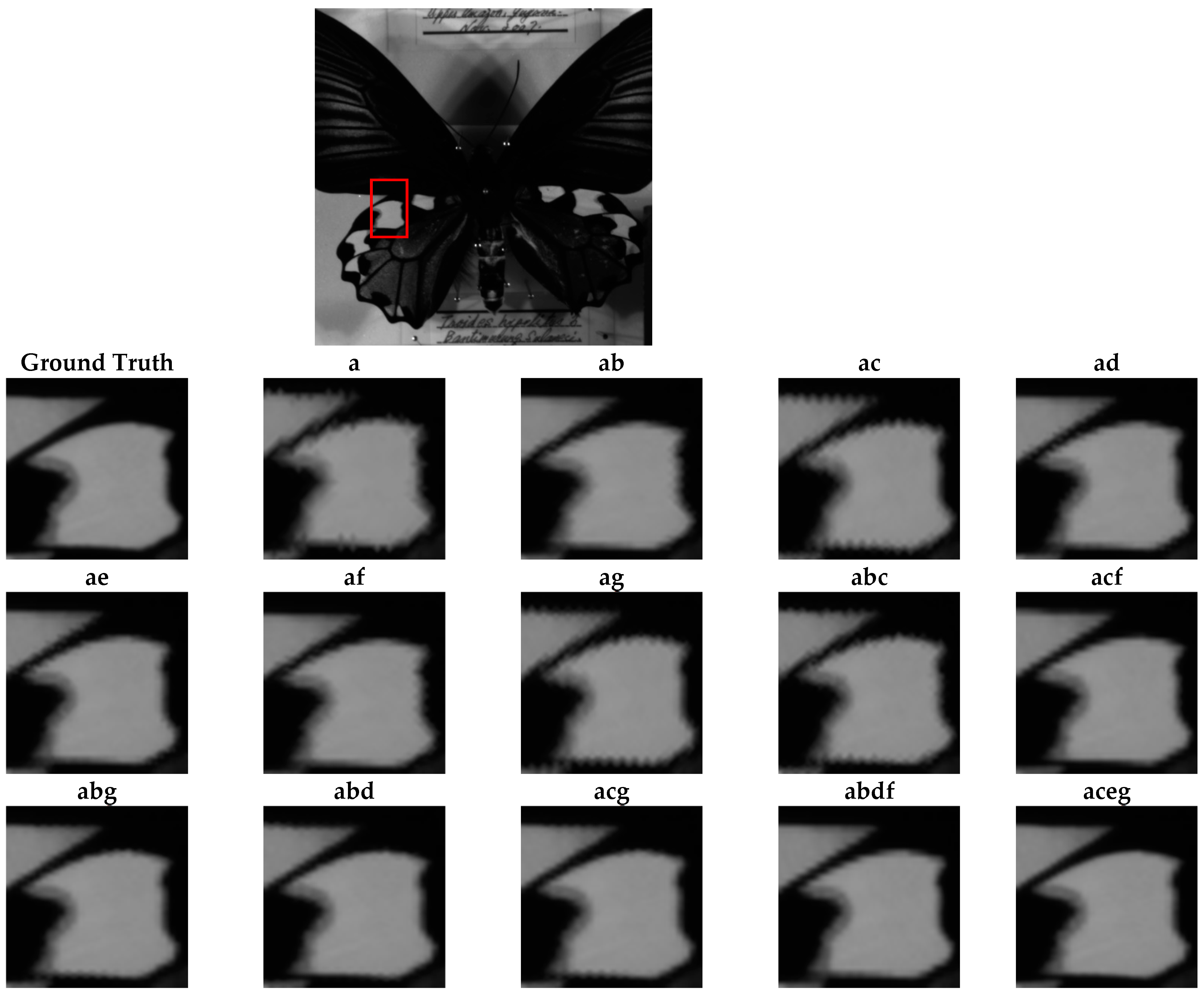 Jimaging 10 00140 g011