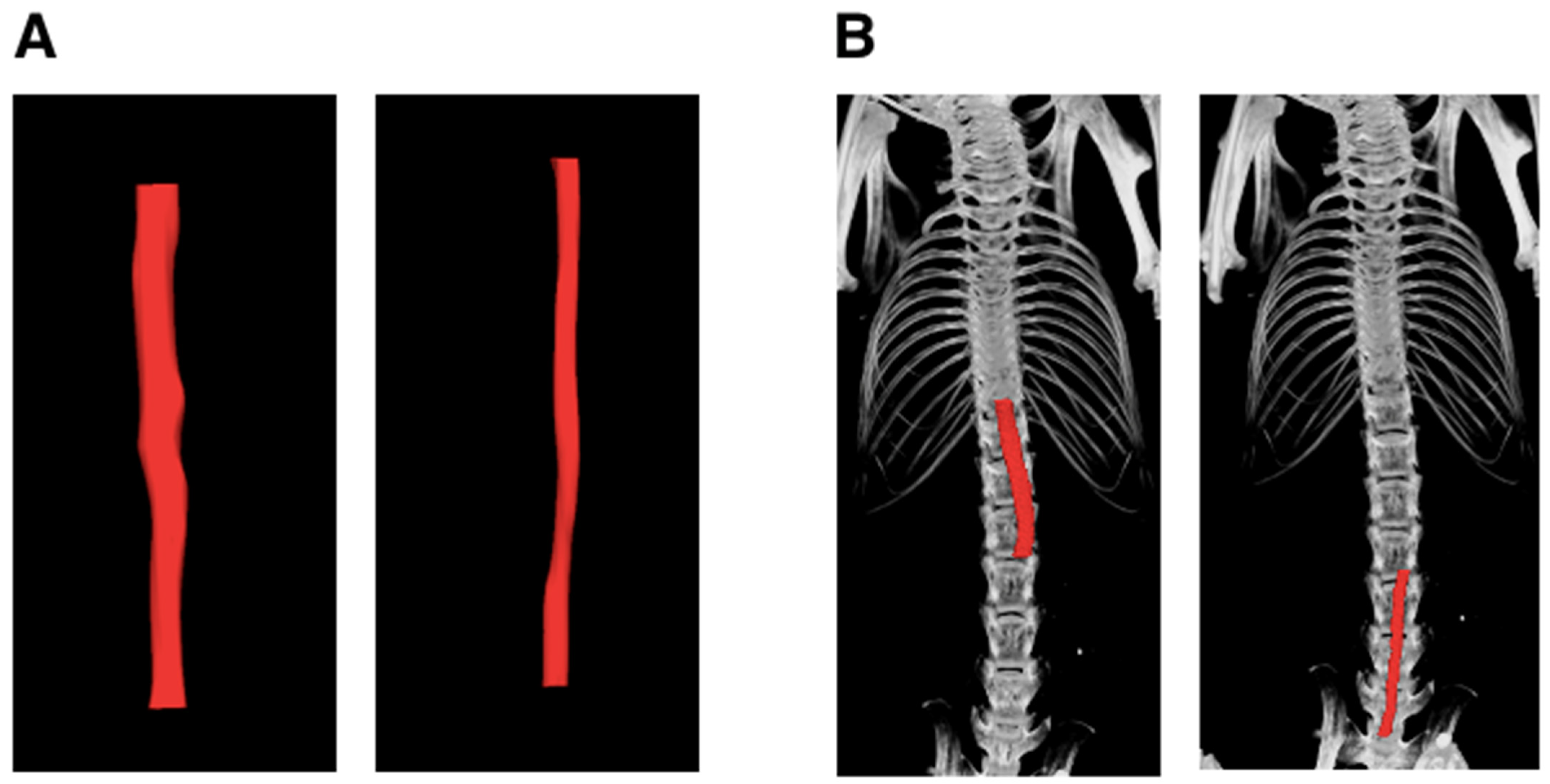Jimaging 10 00145 g005 Jimaging 10 00145 g005