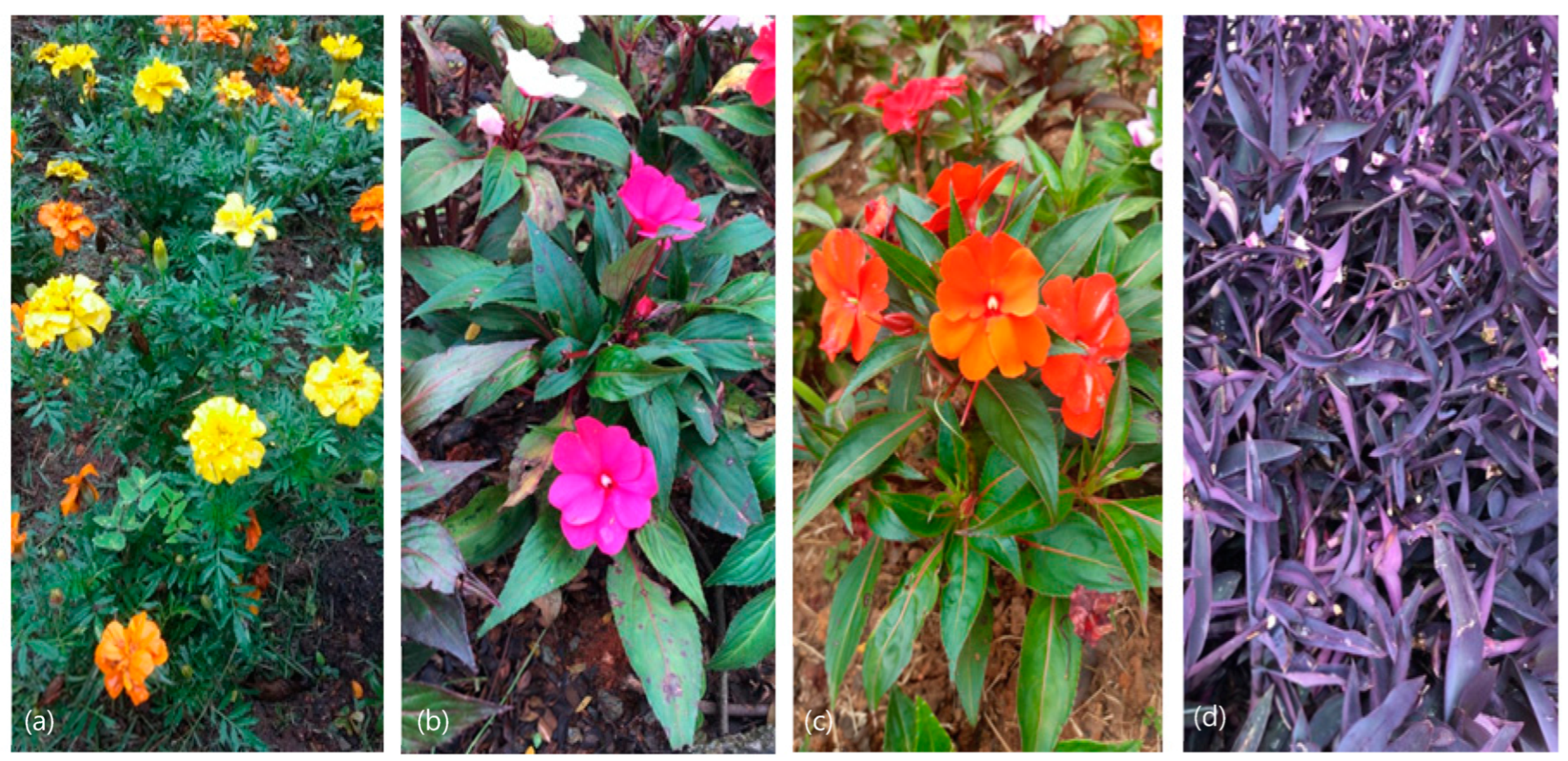 Jimaging 10 00150 g001