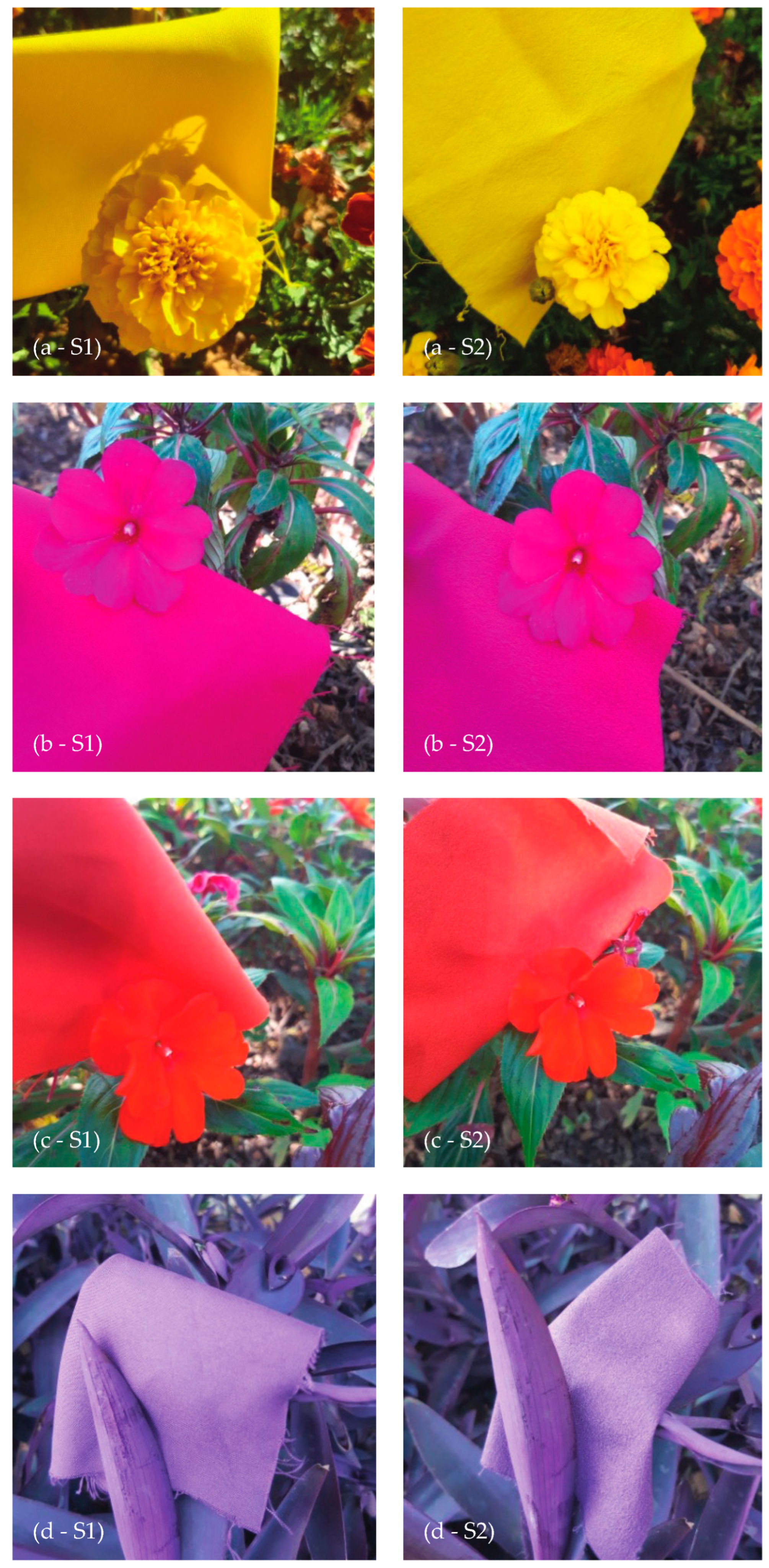 Jimaging 10 00150 g003