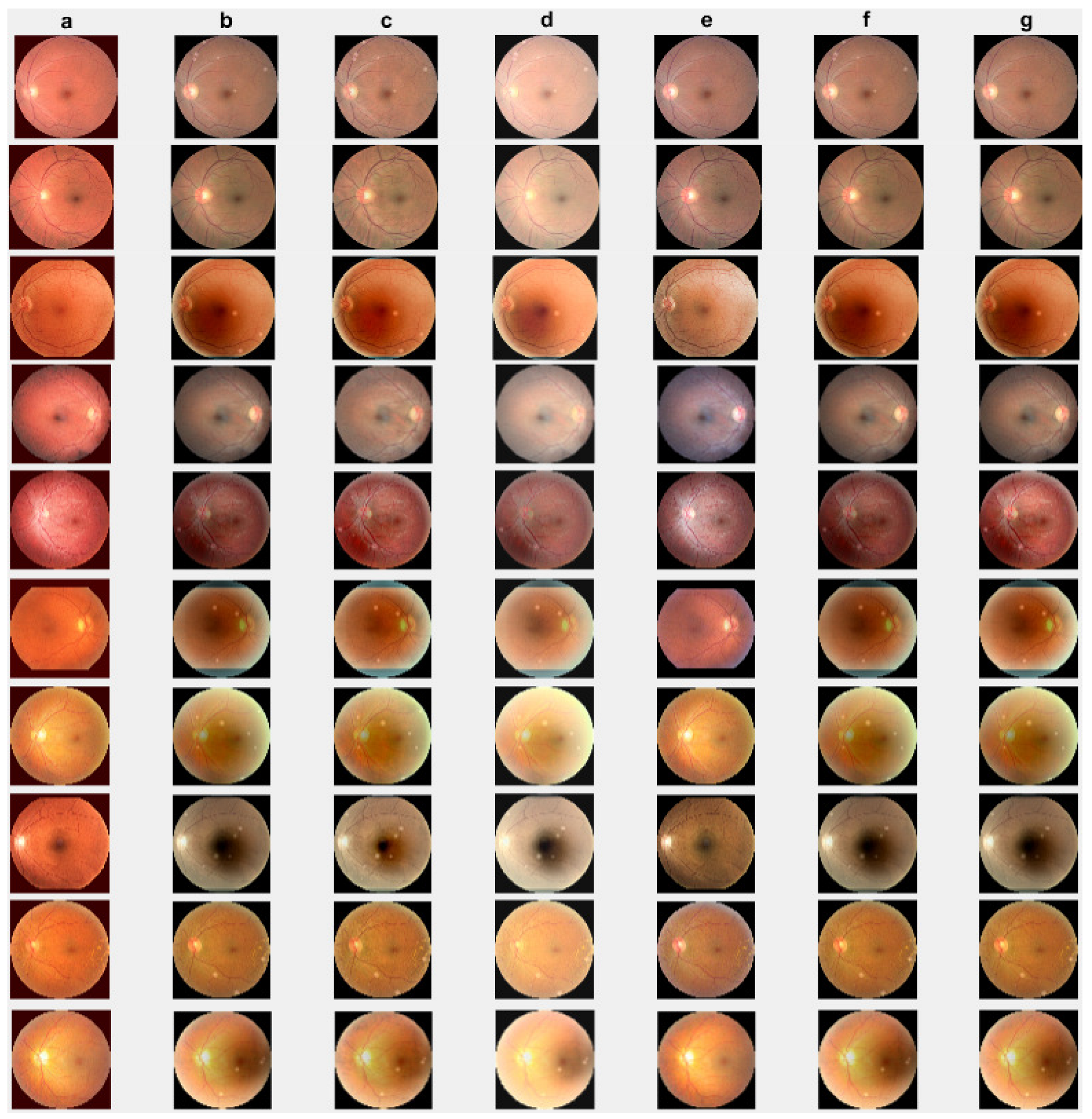 Jimaging 10 00151 g002