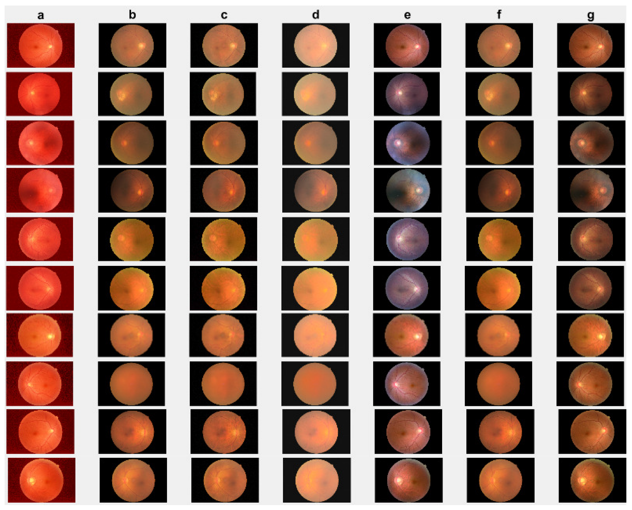 Jimaging 10 00151 g008