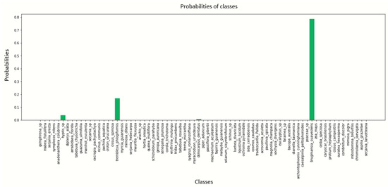 Jimaging 10 00158 g0a11