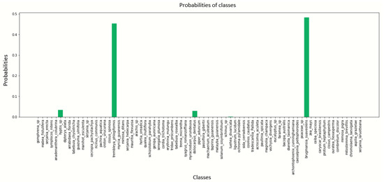 Jimaging 10 00158 g0a12