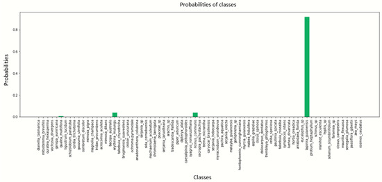 Jimaging 10 00158 g0a13