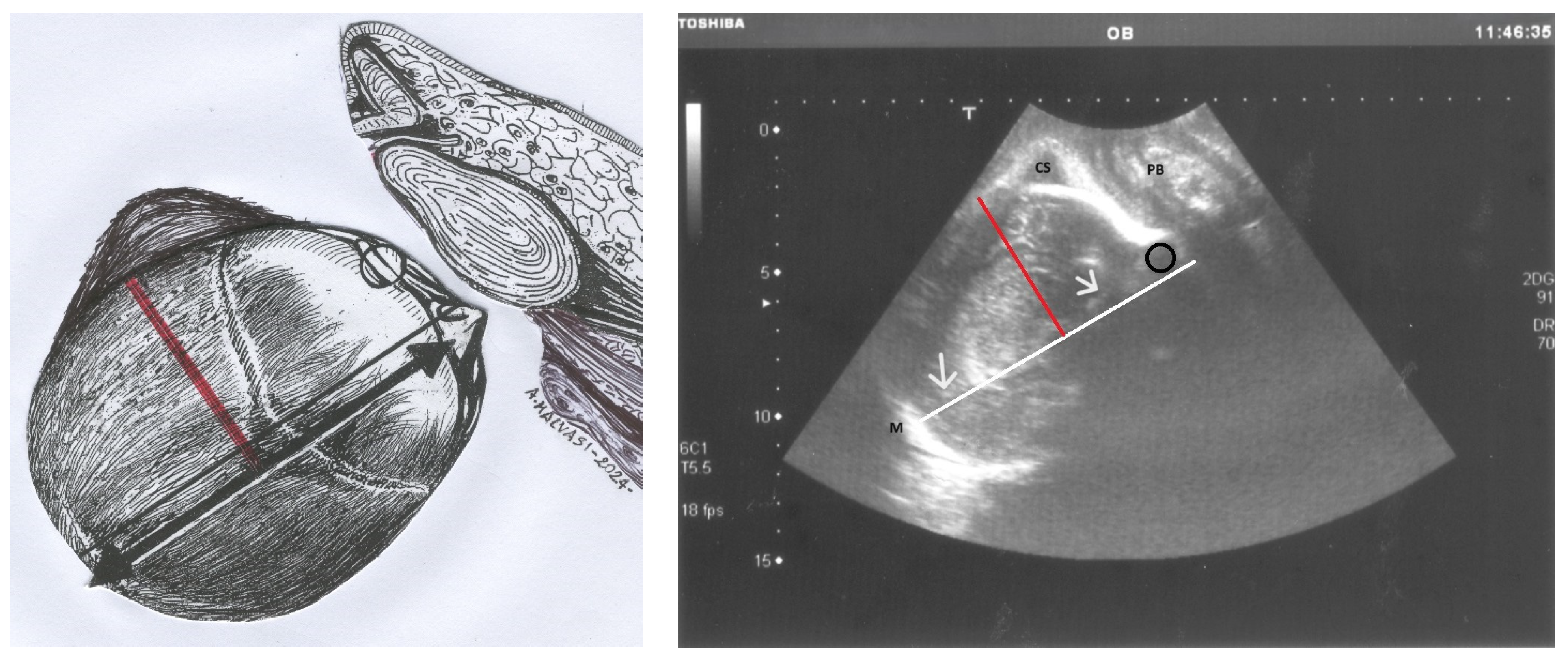 Jimaging 10 00194 g004