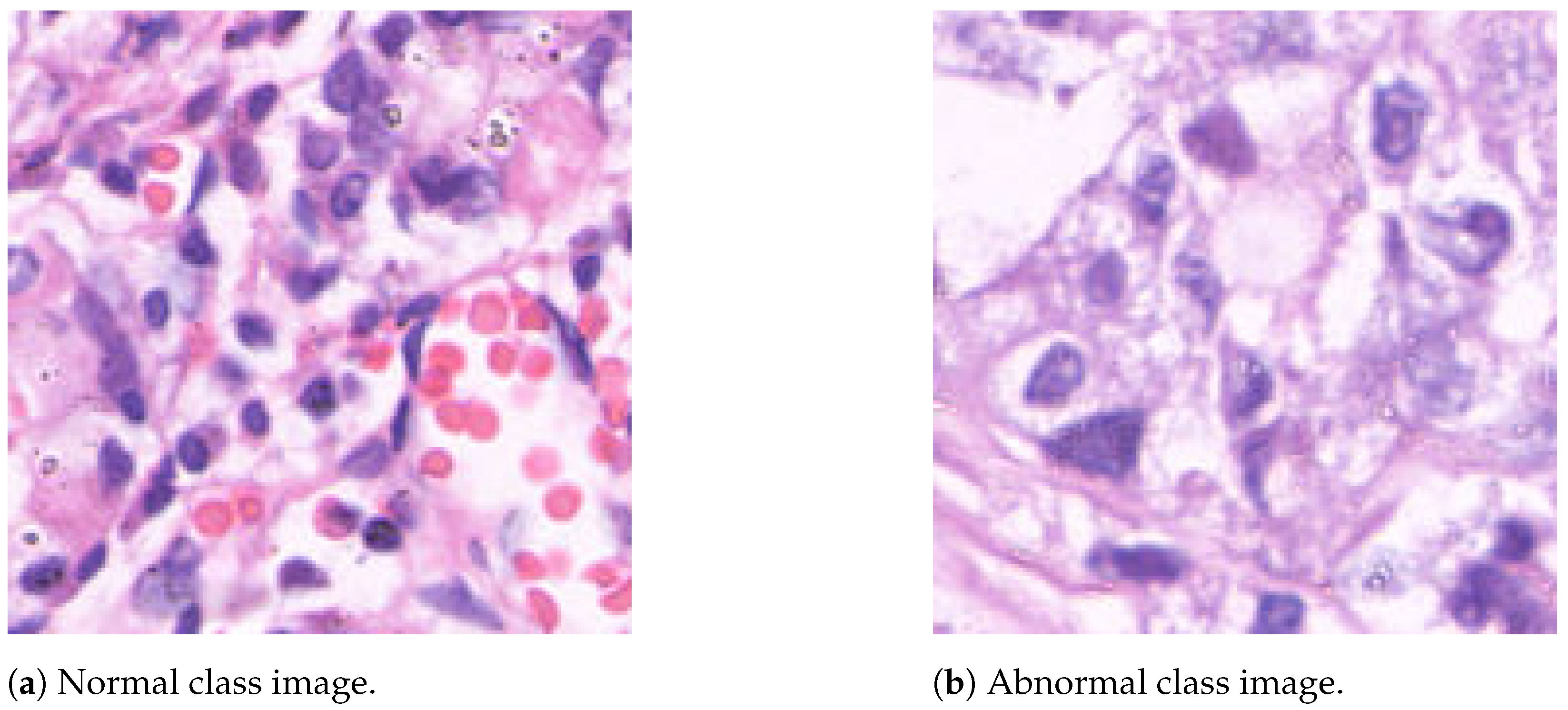 Jimaging 10 00195 g001